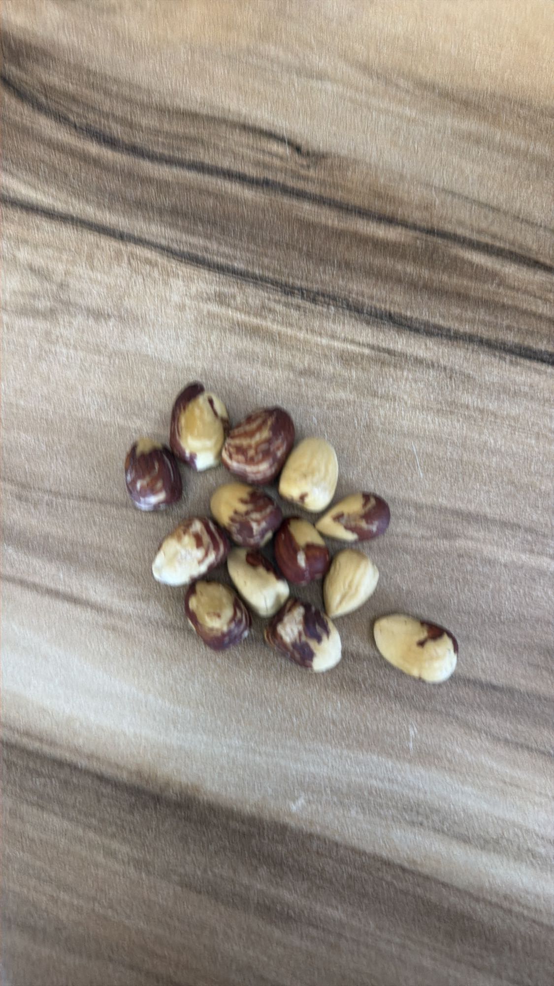 Hazelnuts