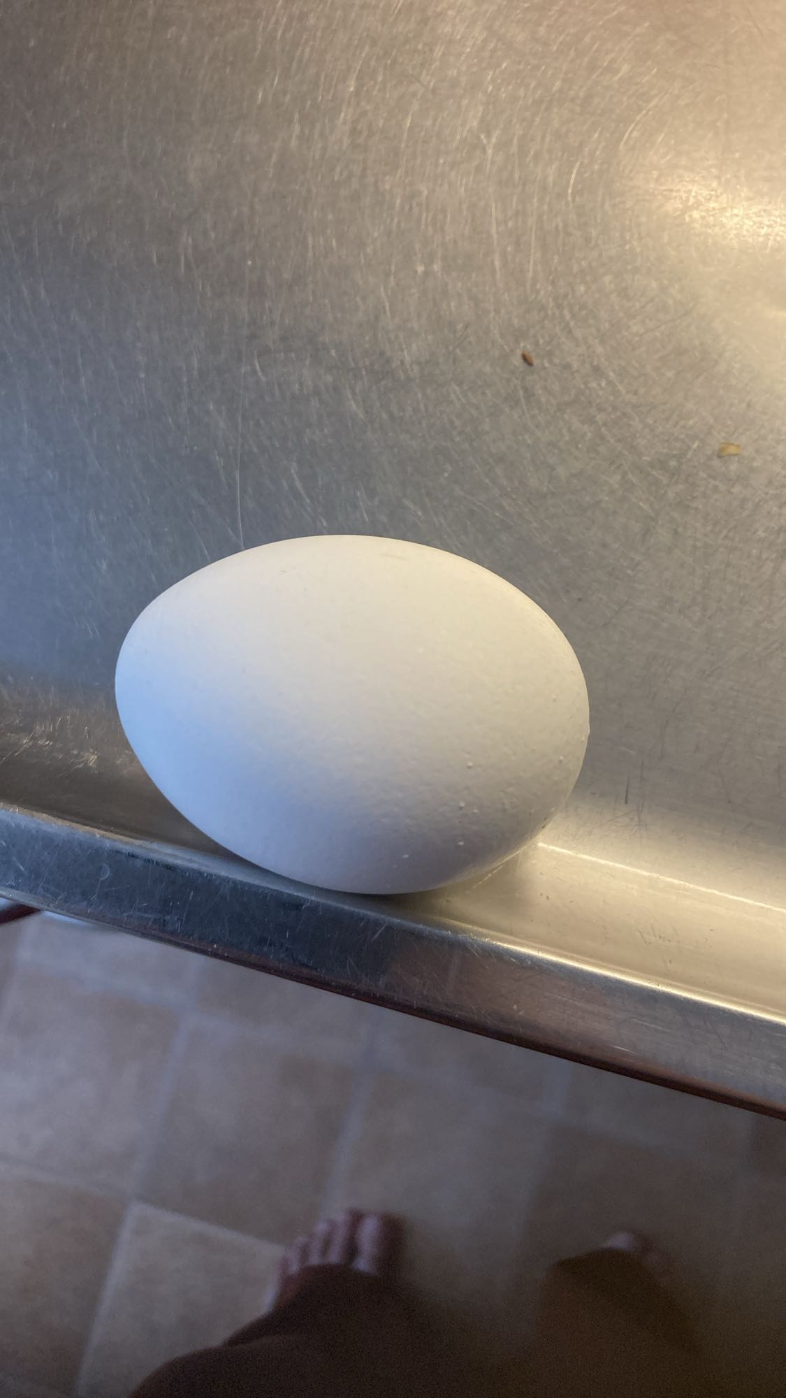 Kokt ägg