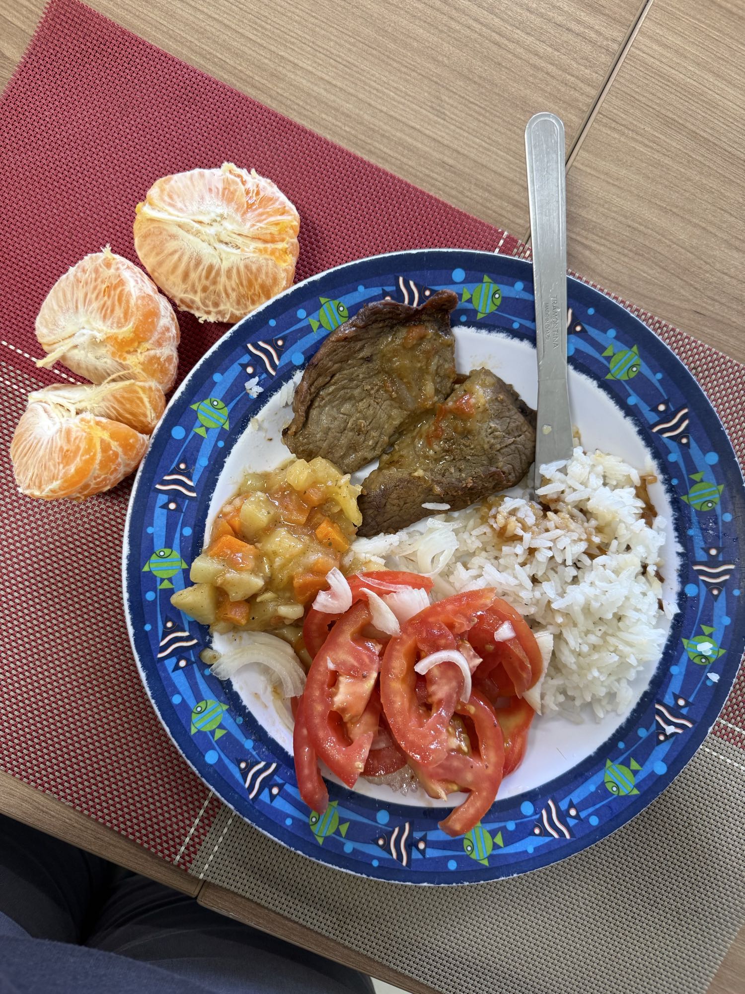 Prato com carne e arroz