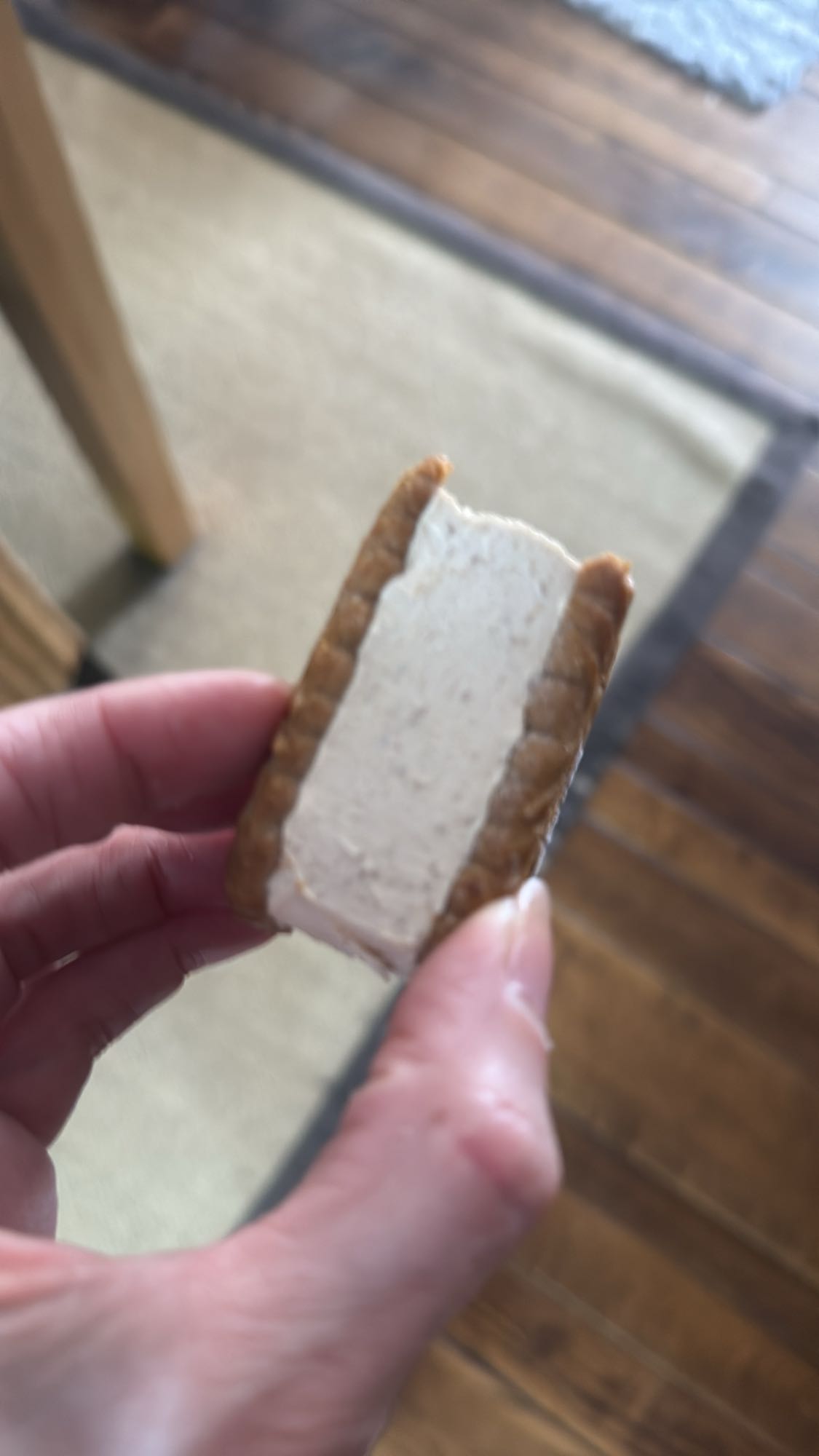 IJsandwich