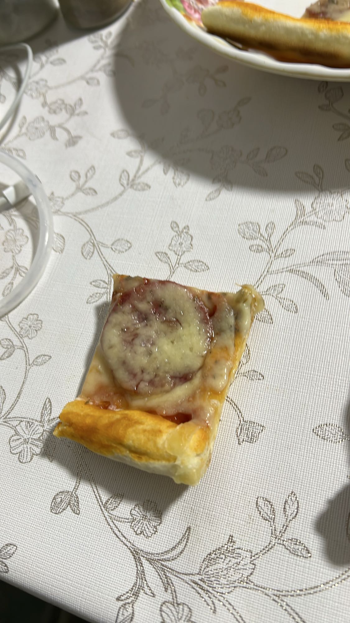 кусок пиццы с салями