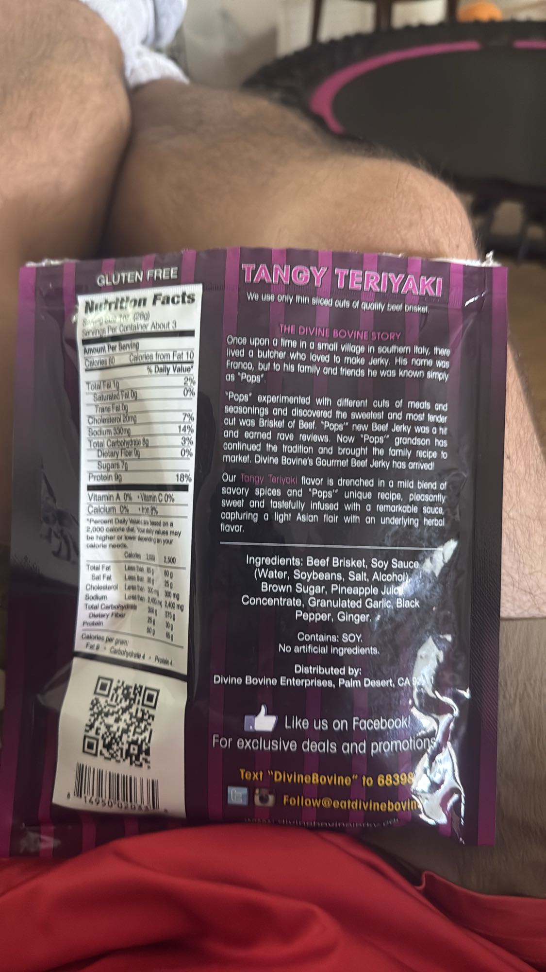 Tangy Teriyaki Jerky