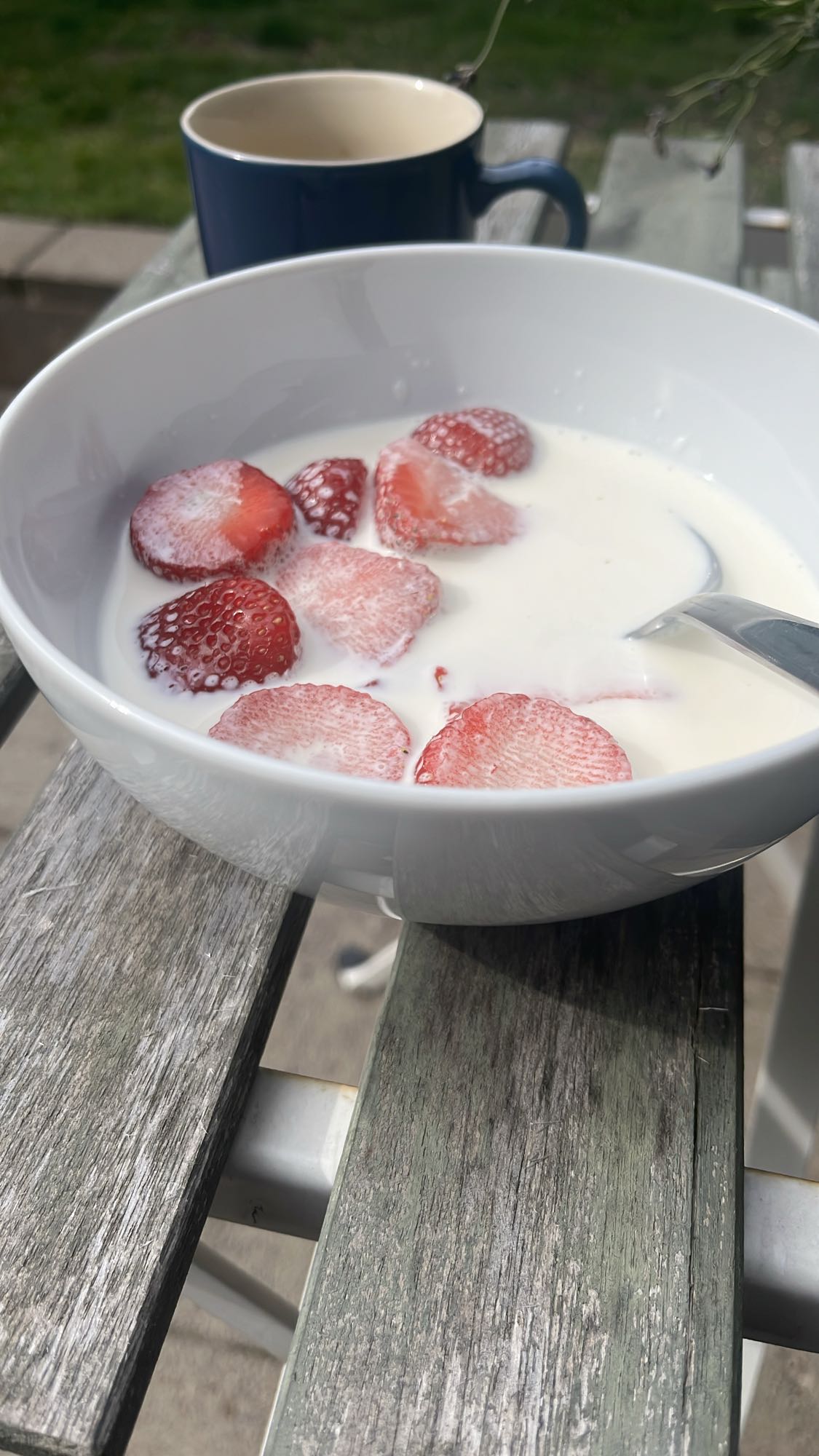 Jordgubbar med mjölk