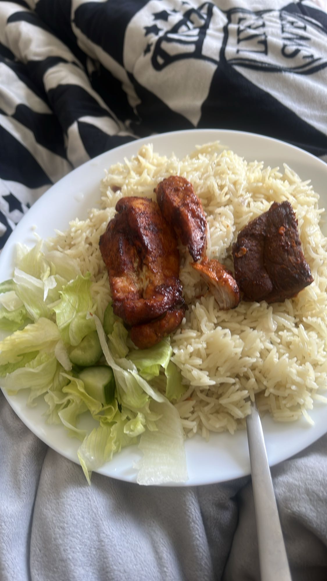 Rice Chicken Beef Plate