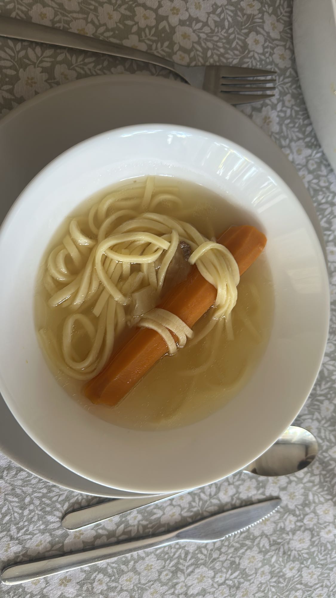 Noodle Carrot Soup