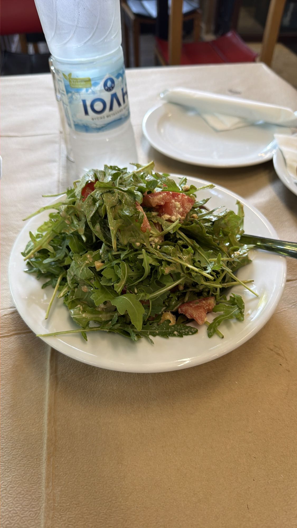 Insalata di rucola