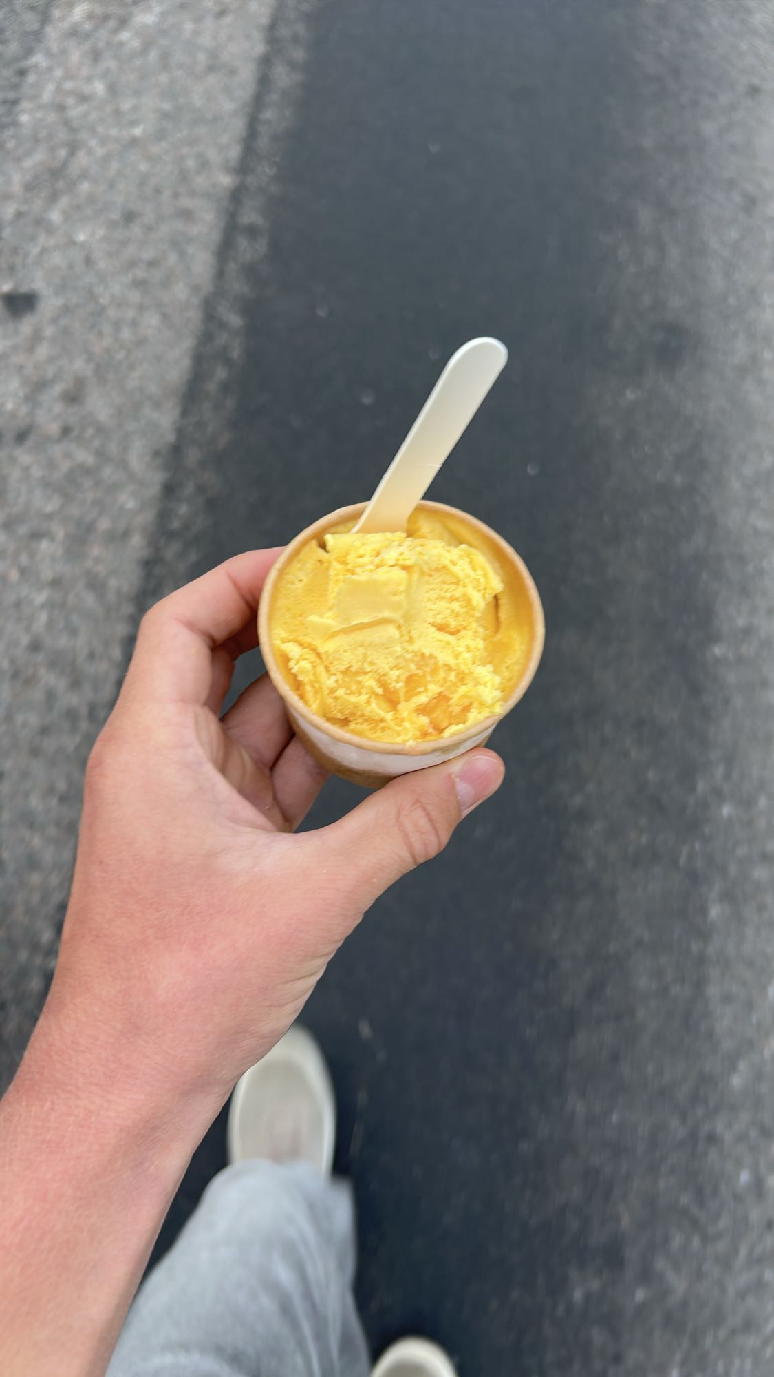 Mangosorbet