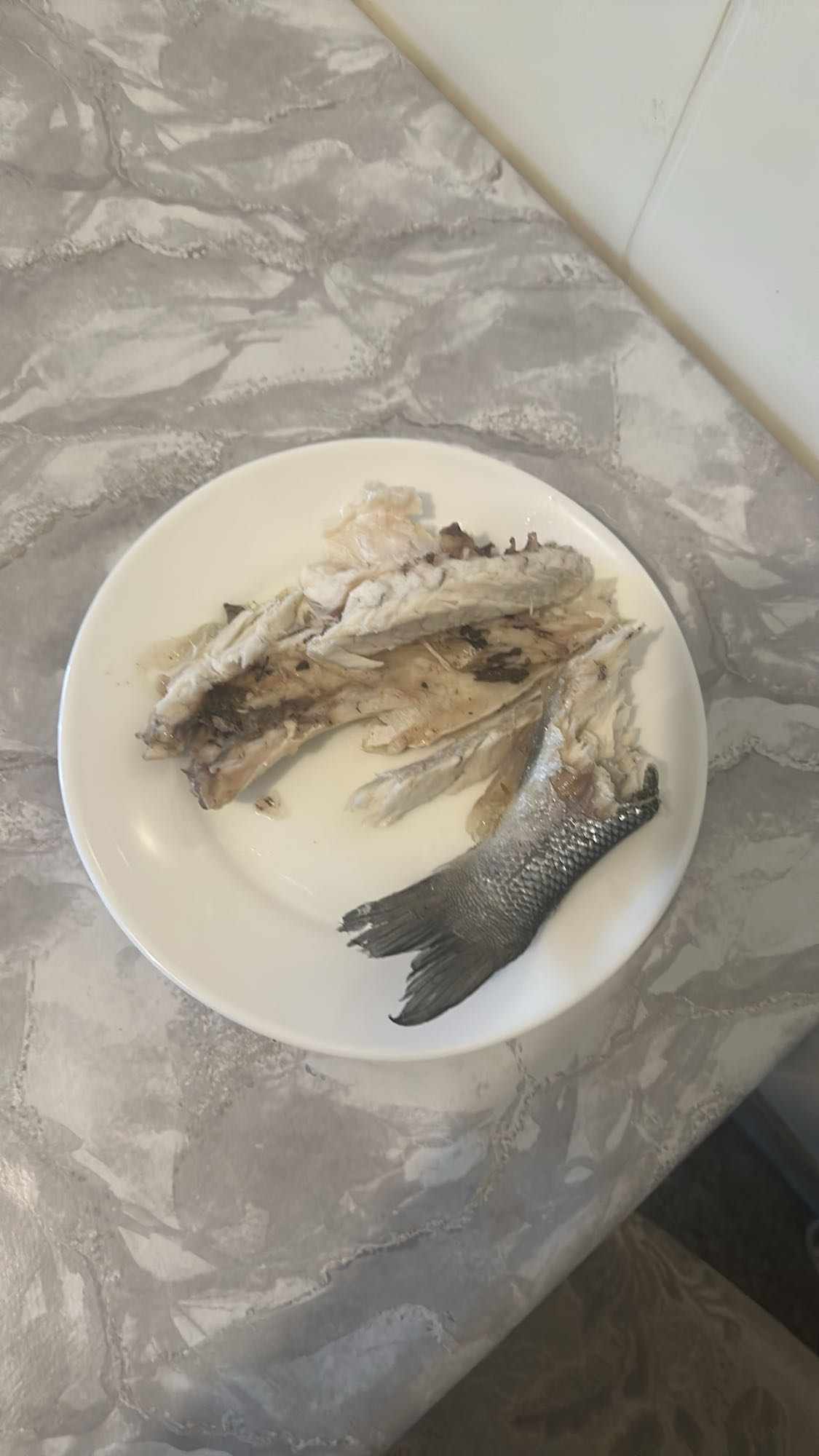 Cooked Fish Pieces