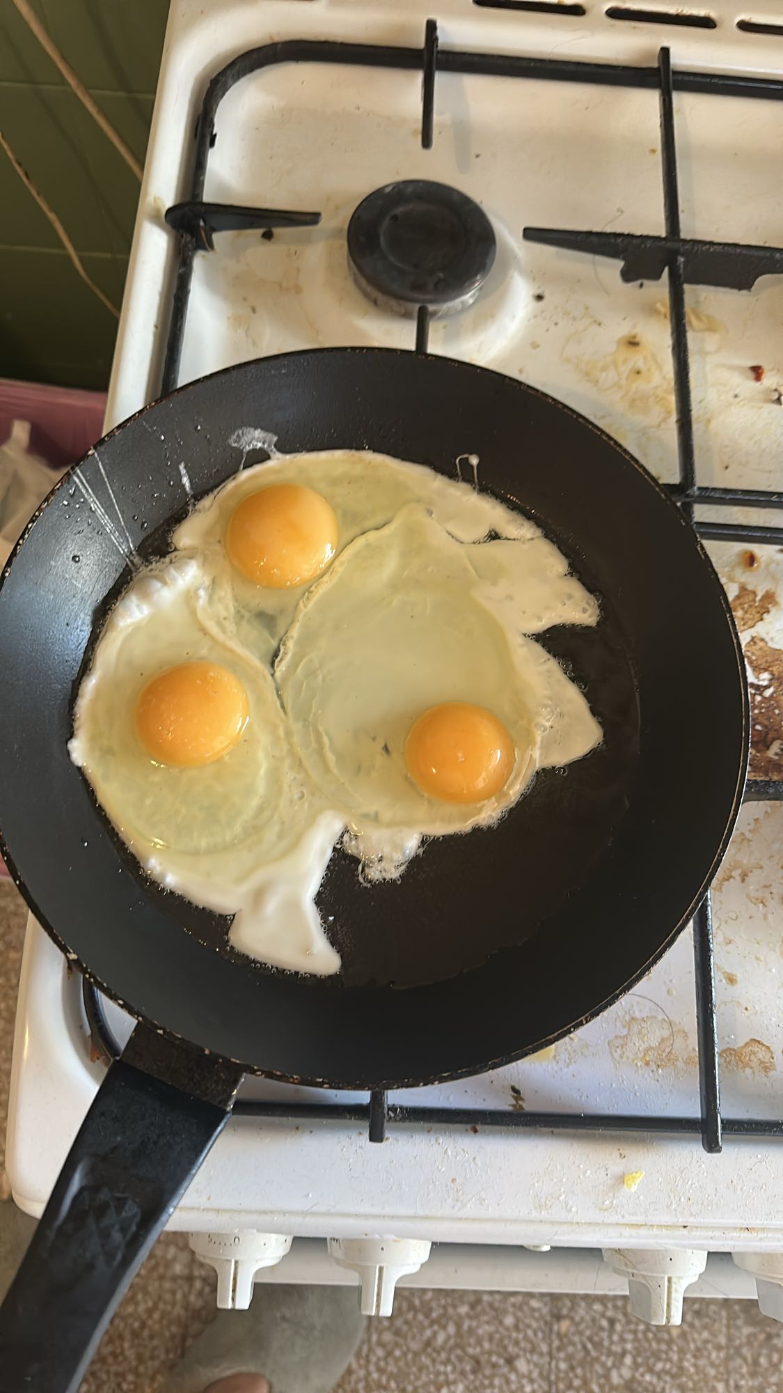 Fried Eggs
