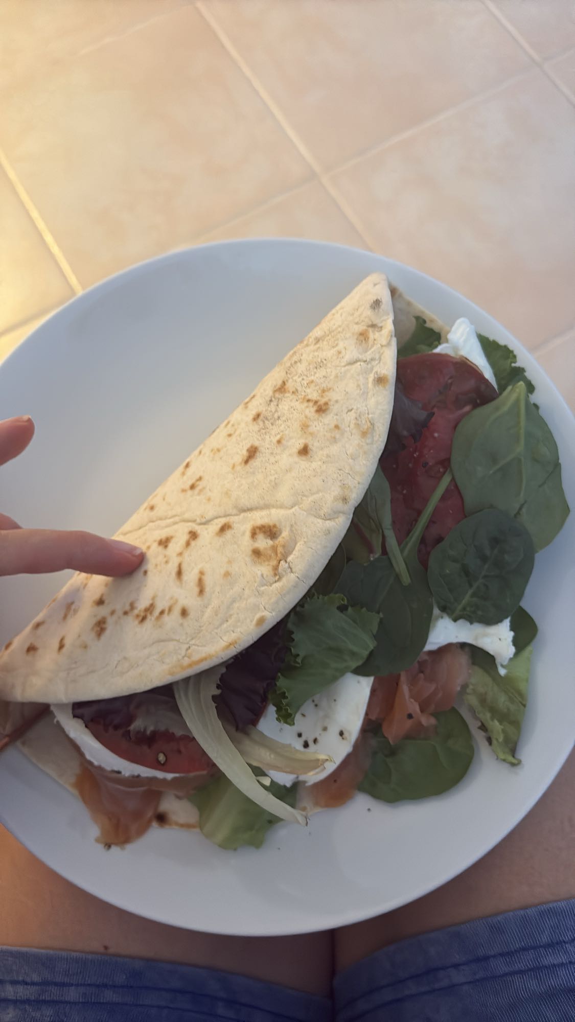 Salmon Veggie Pita
