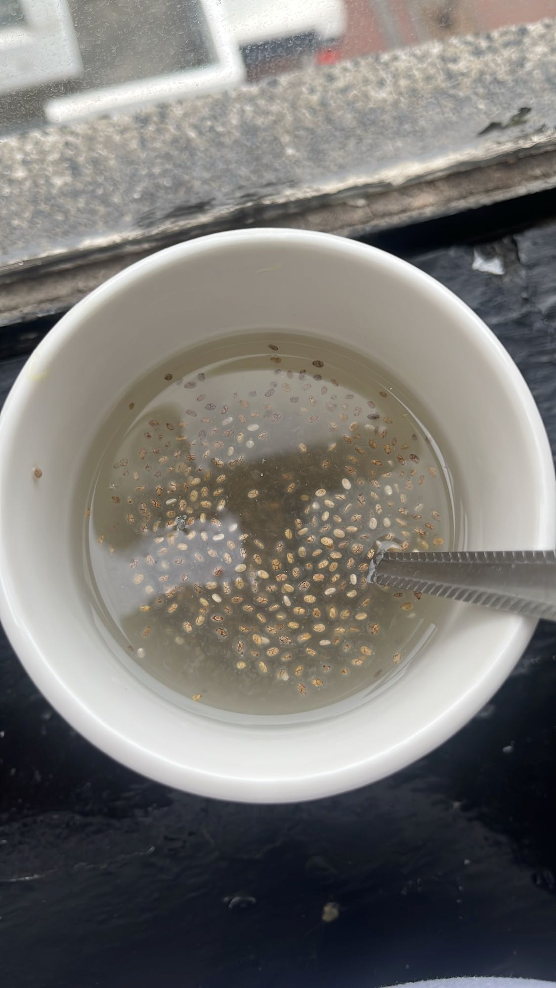 Chia Water
