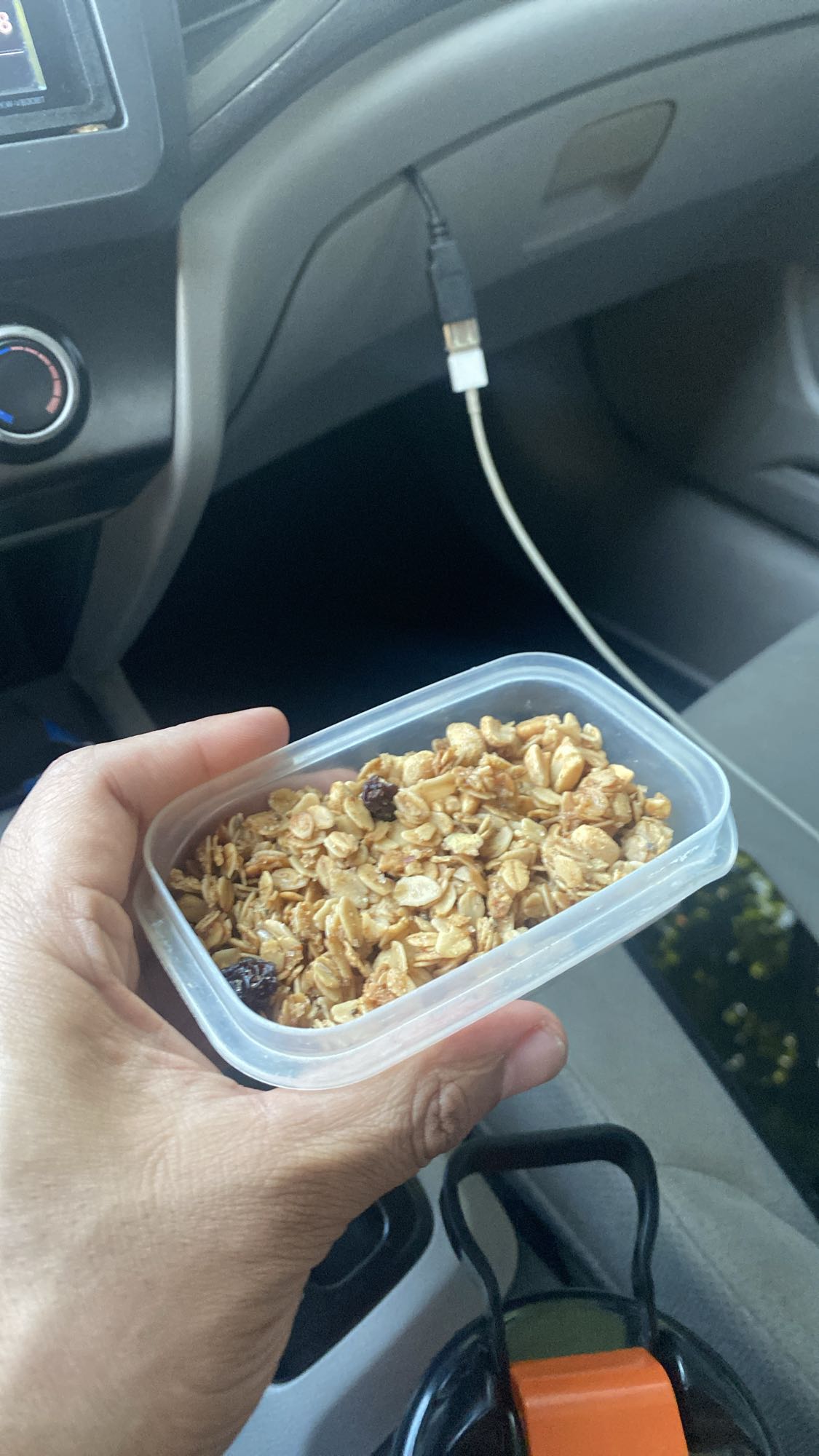 granola con pasas
