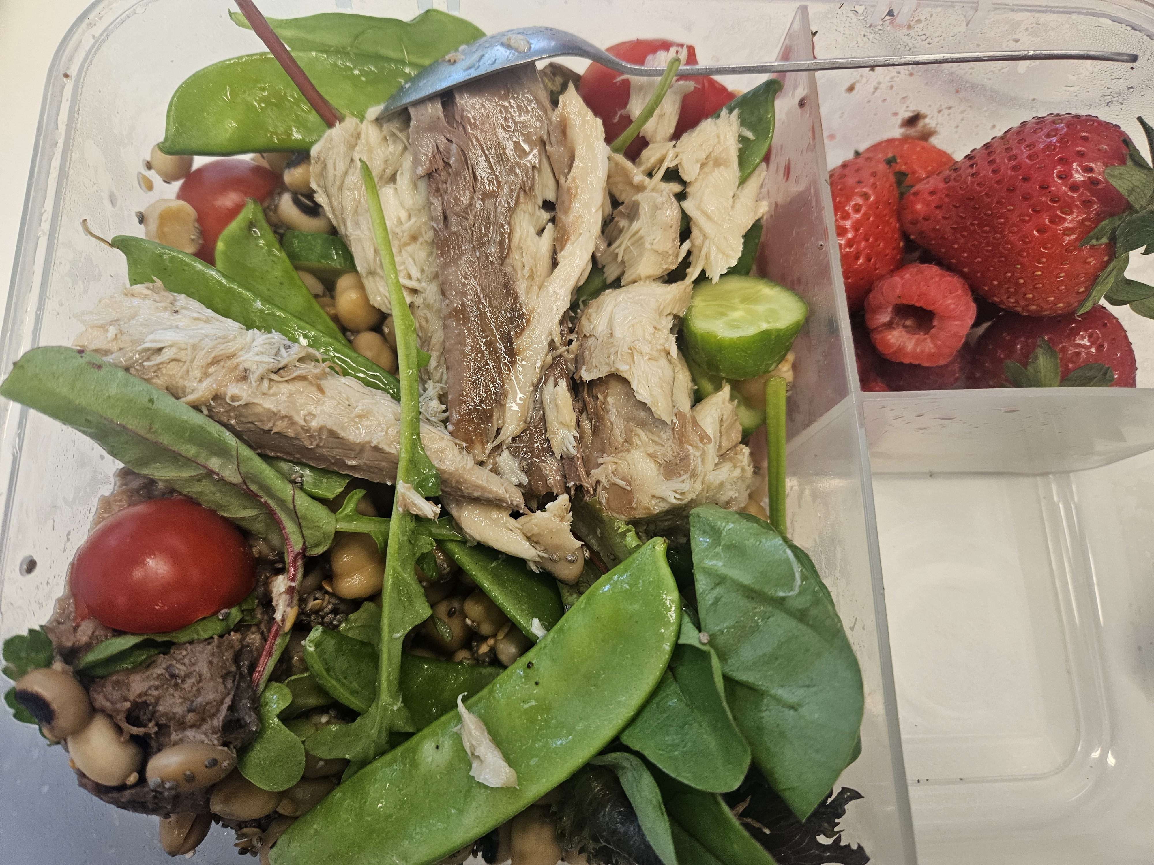 Mackerel Chickpea Salad Box