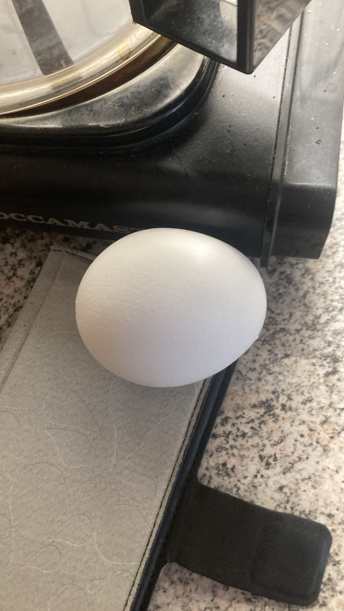 Vitt ägg