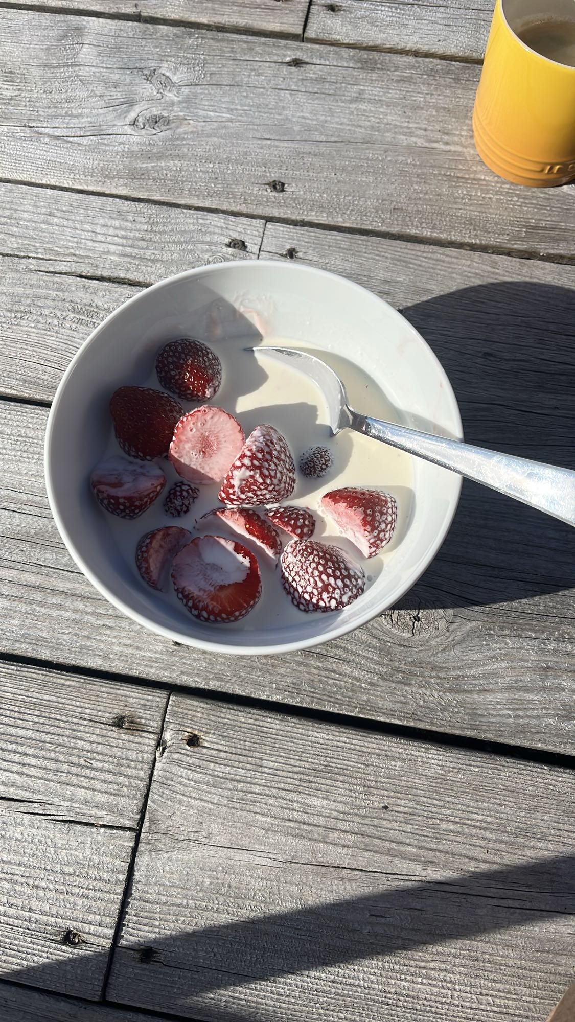 Jordgubbar med mjölk