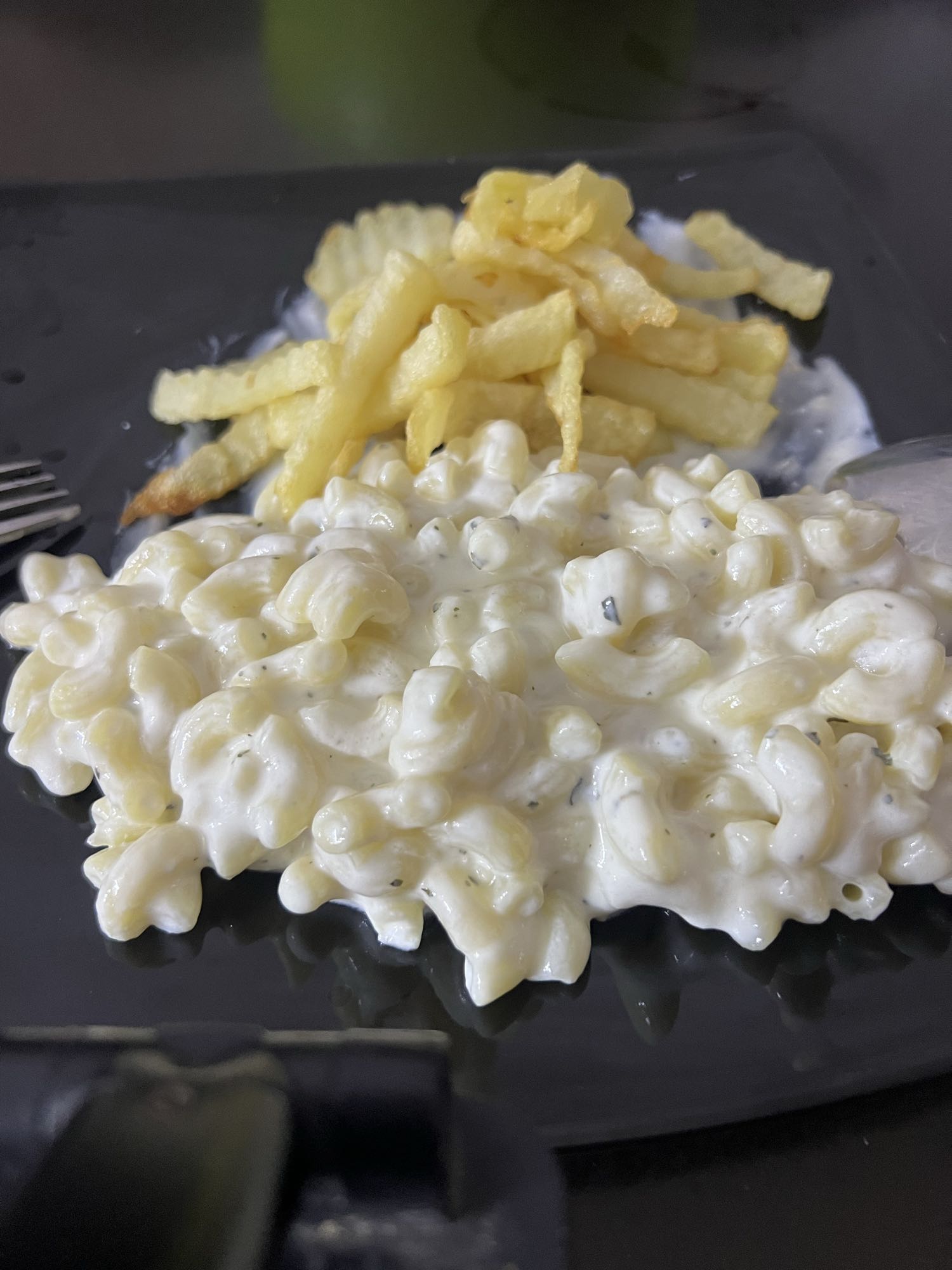 Pasta with Garlic Yogurt and Dry Mint with French Fries