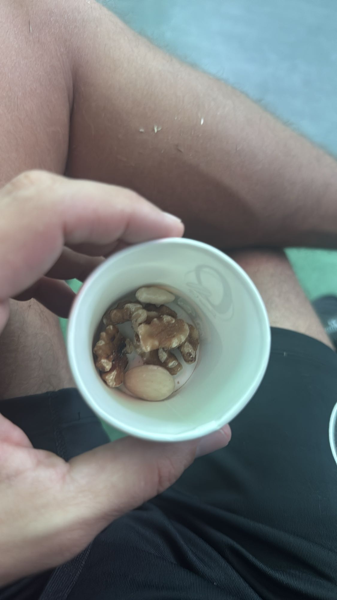 mezcla de nueces