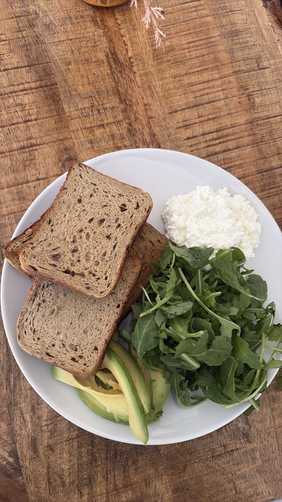 Brood met avocado en kaas