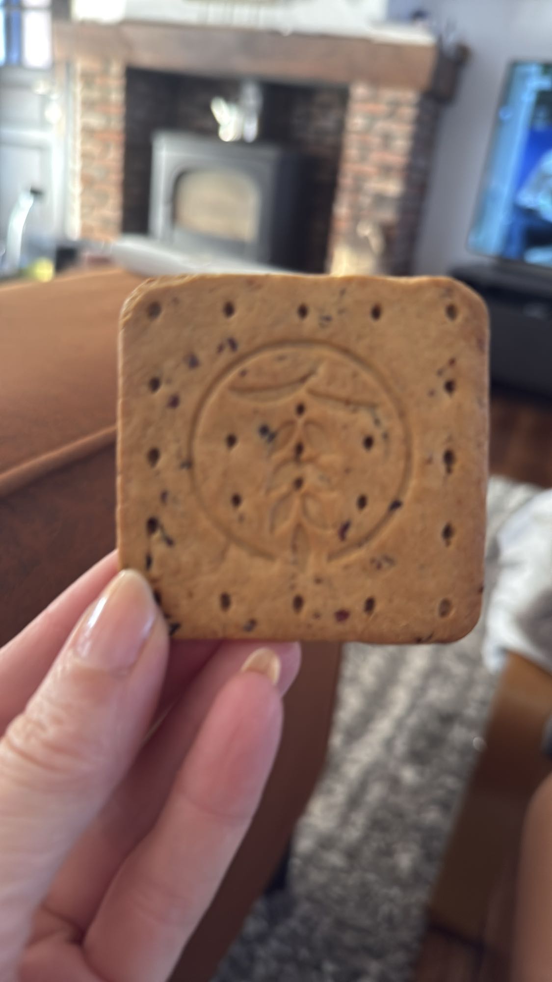 Zaadkoekje