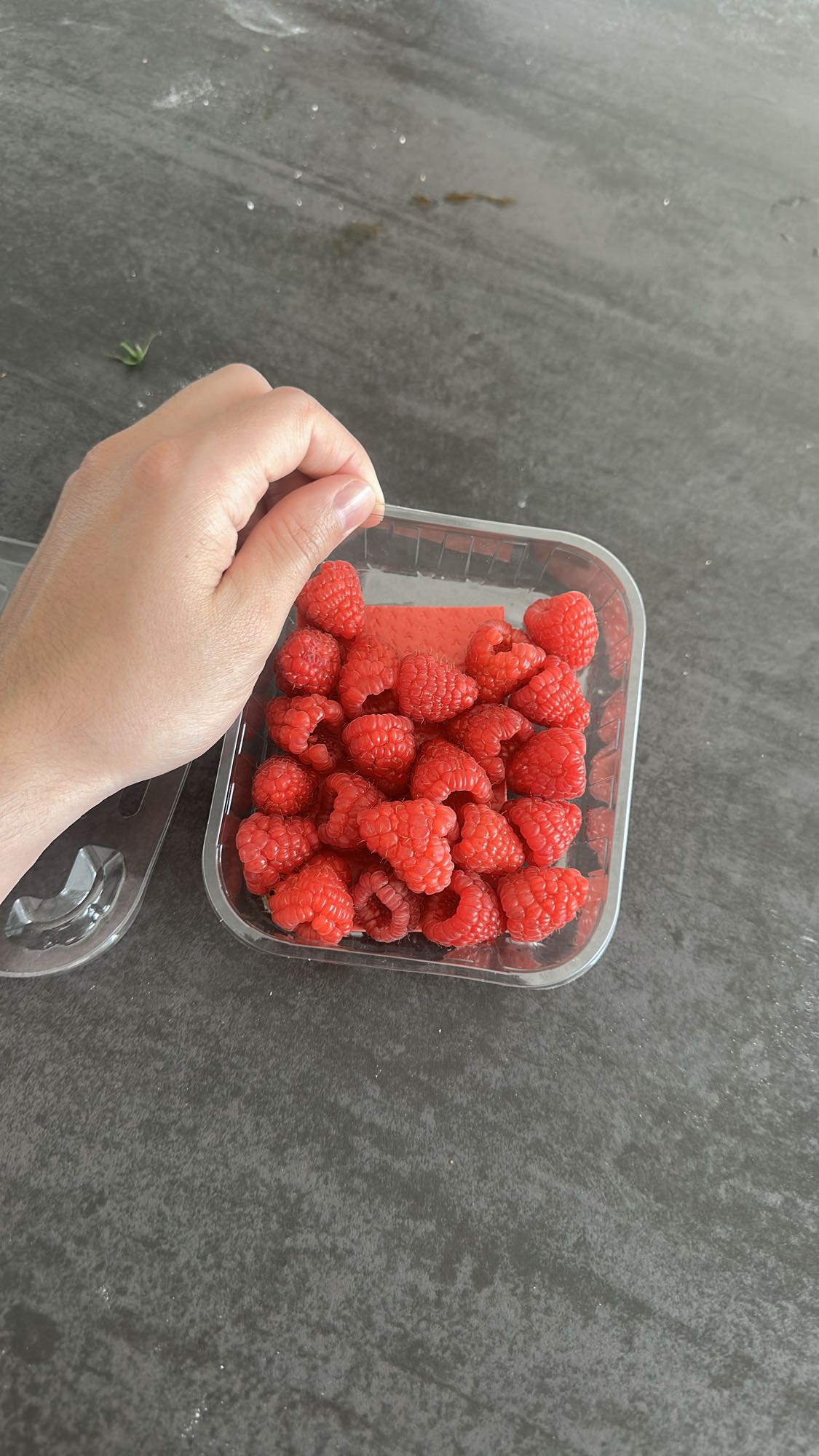 Framboises fraîches
