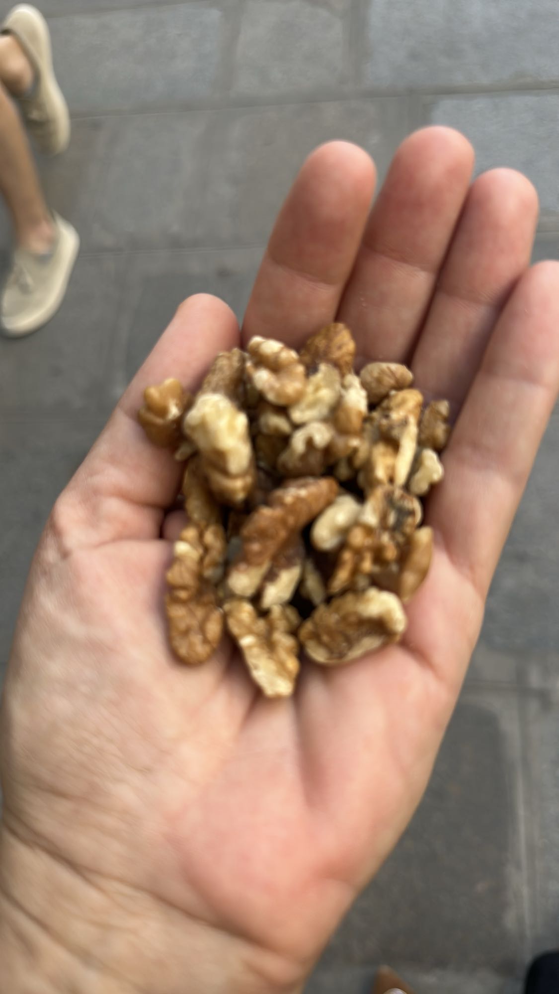 Walnut Handful