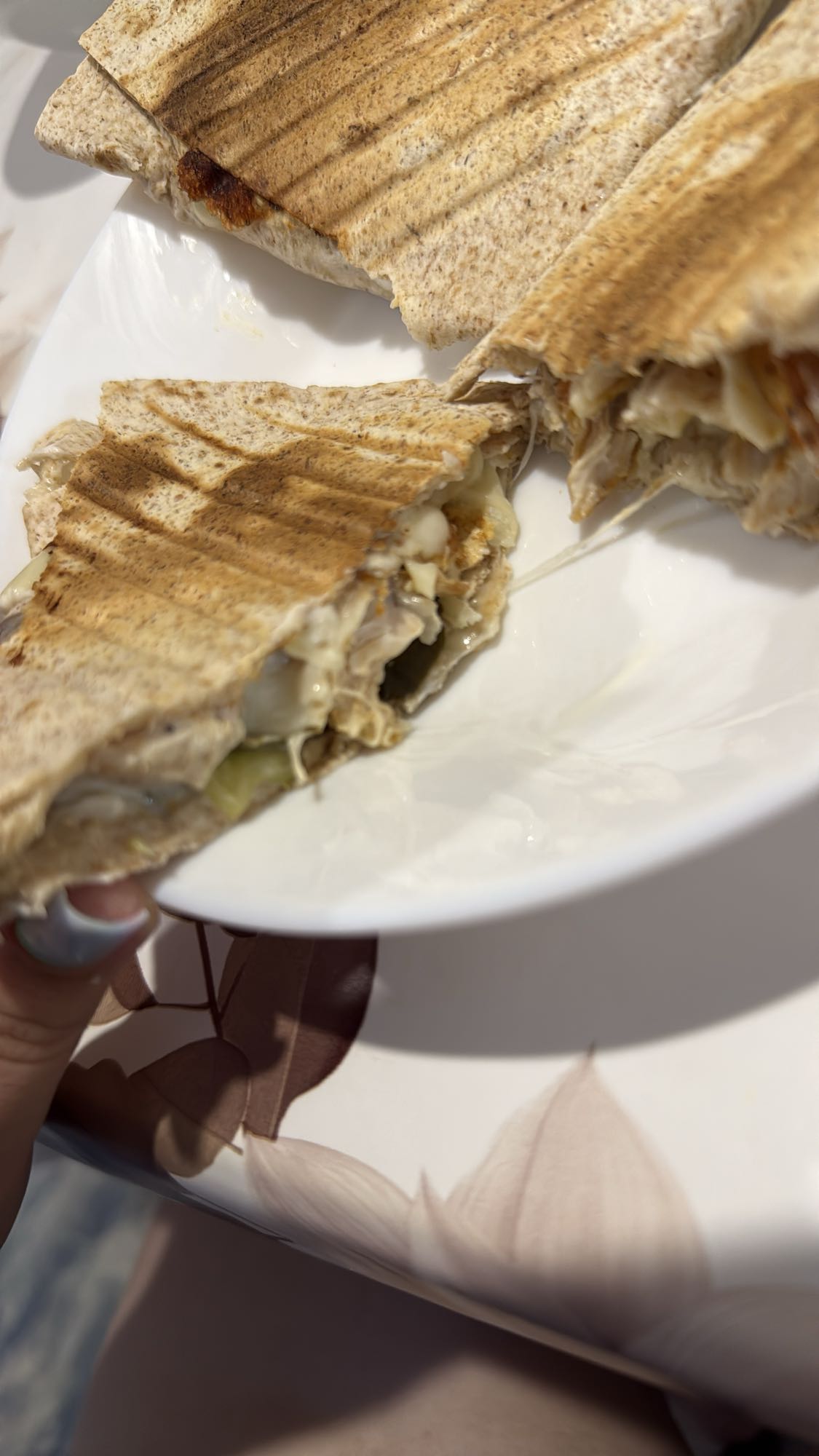quesadilla cu pui