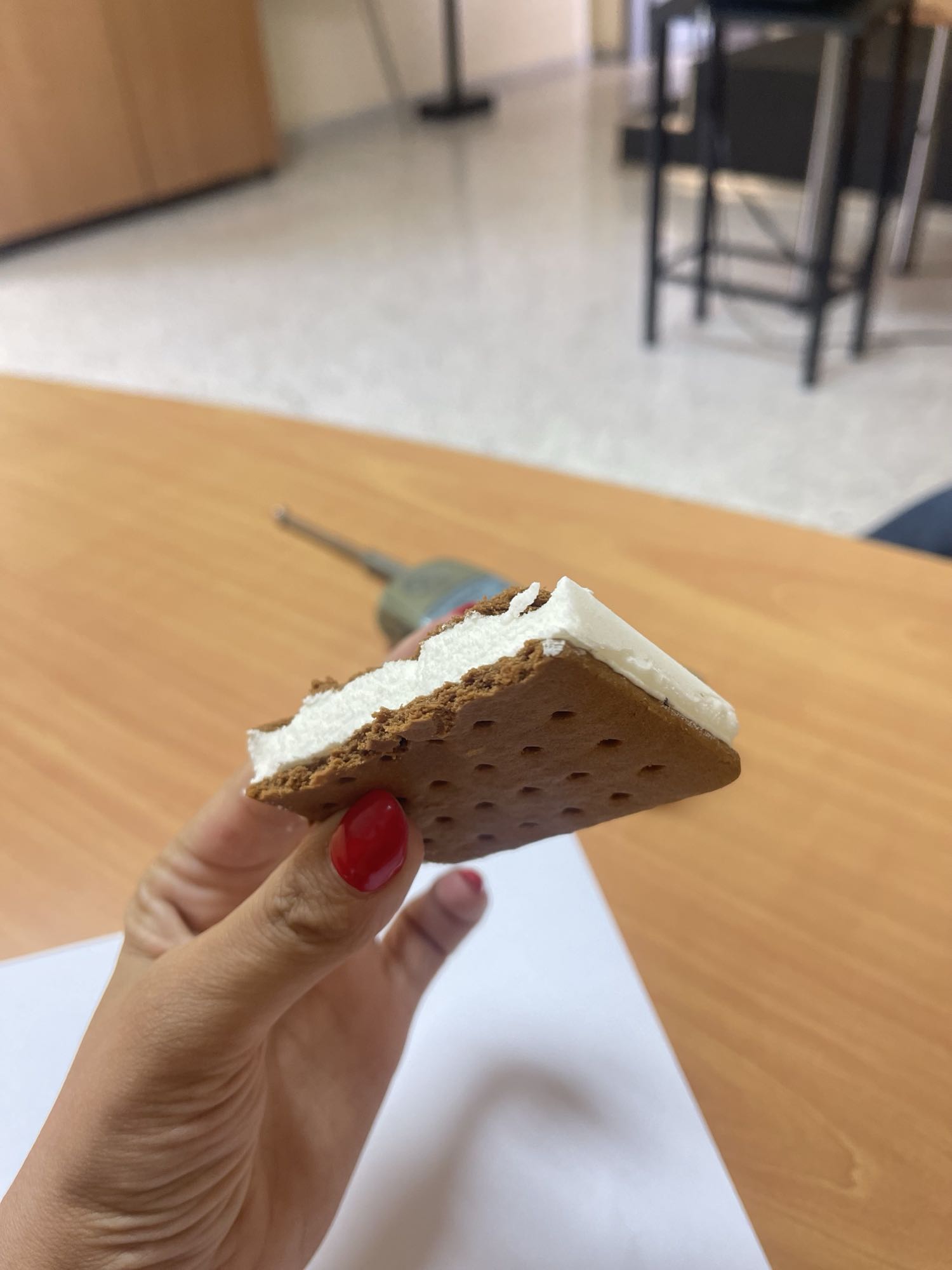 Ice Cream Sandwich