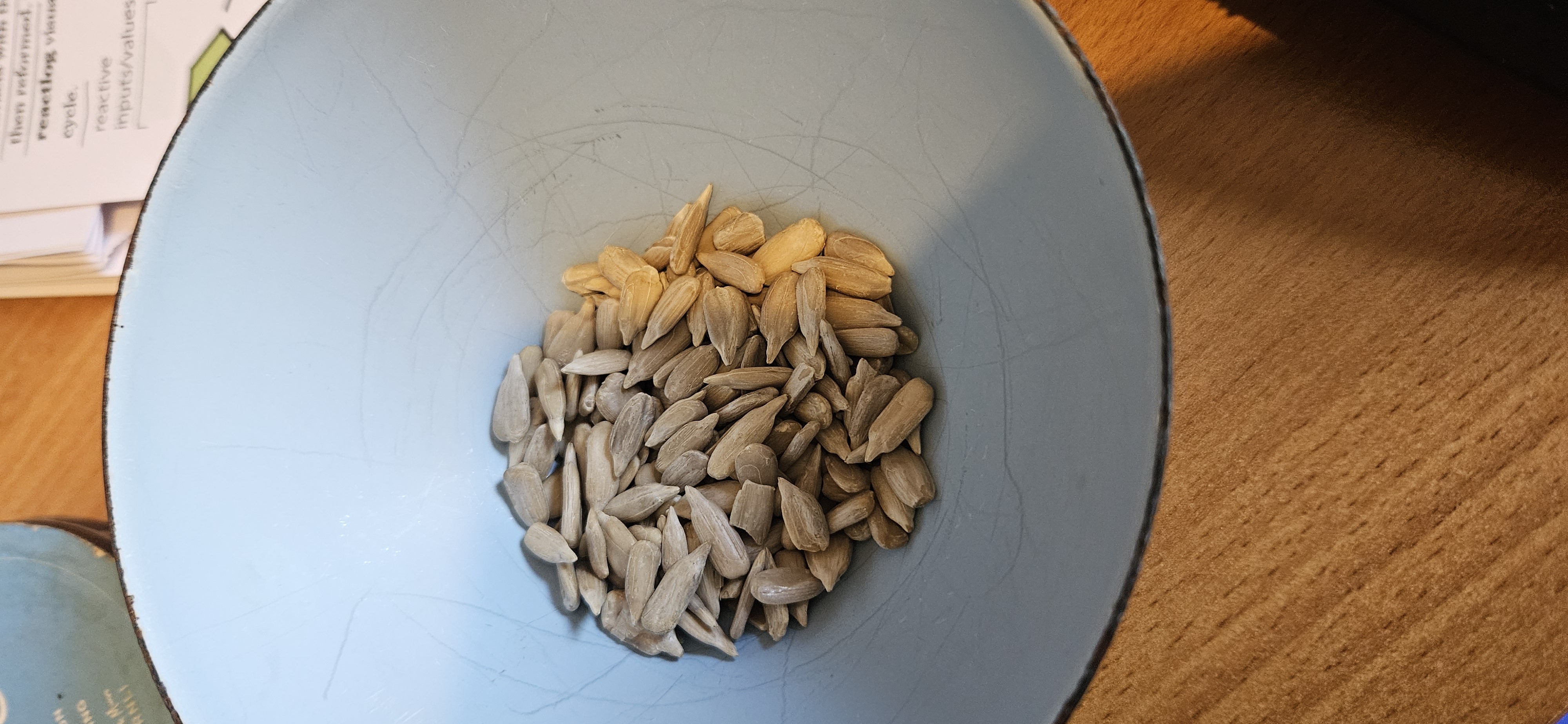 Sunflower Seeds