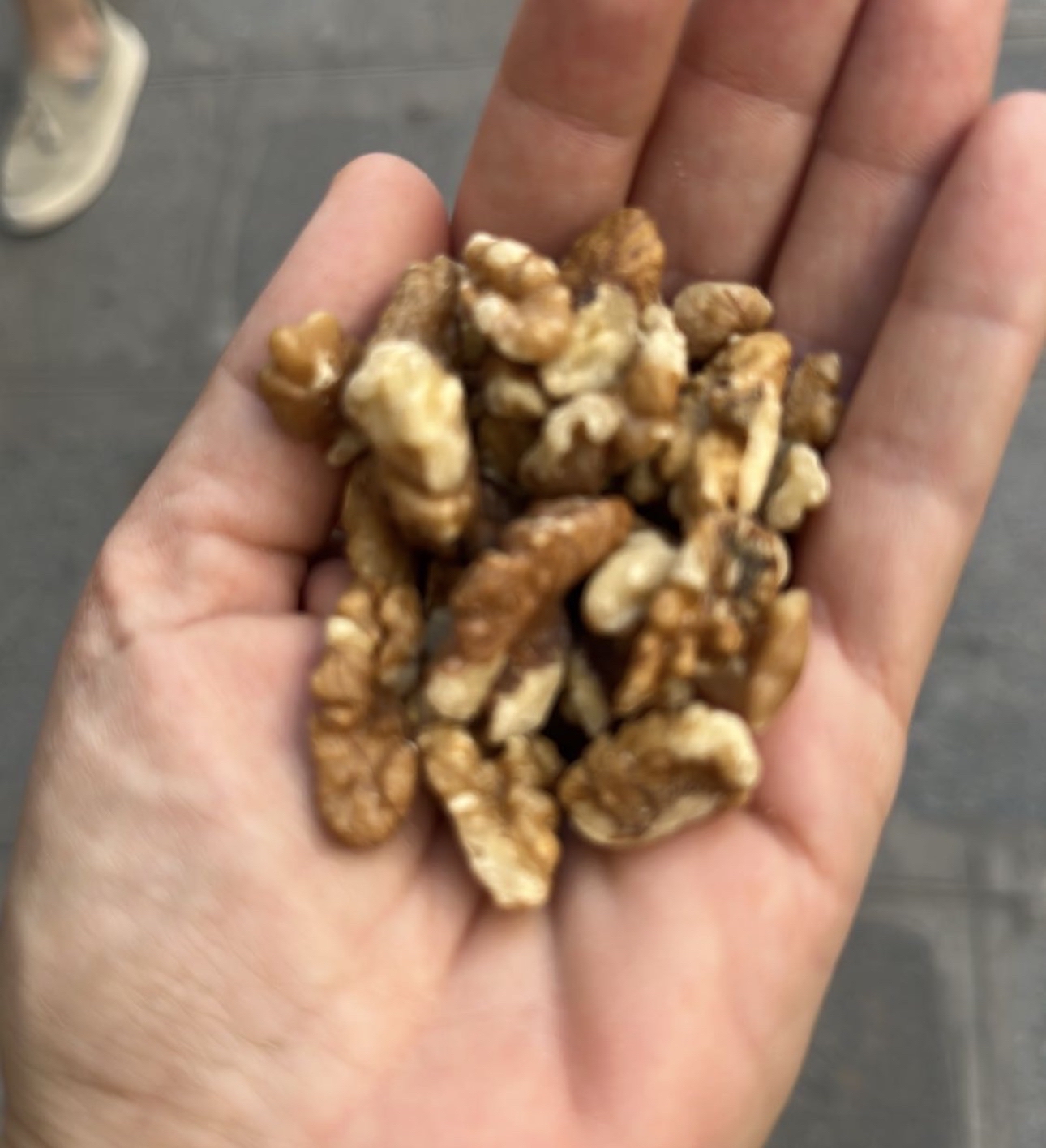 Walnut Handful