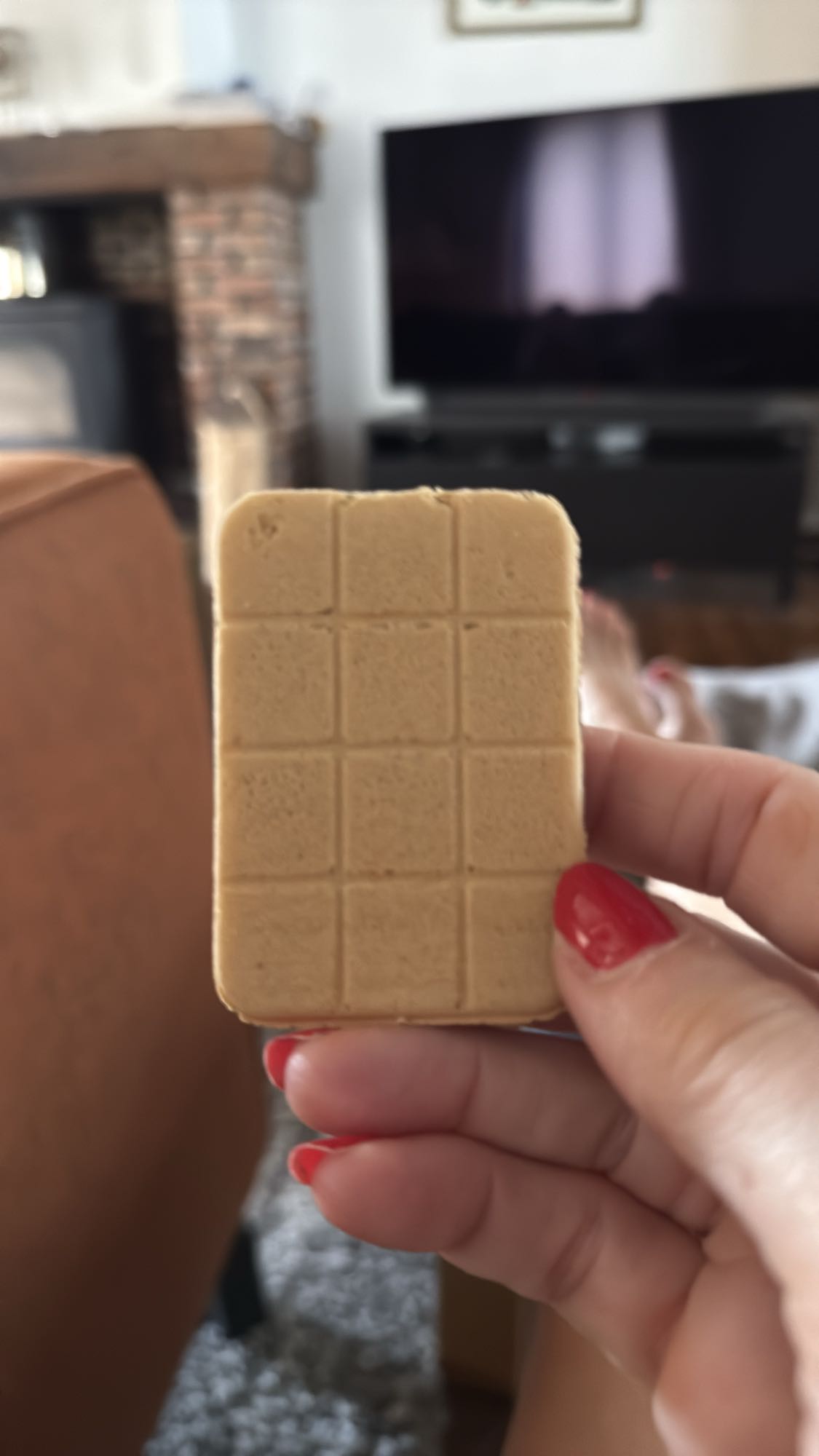 Speculooskoekje