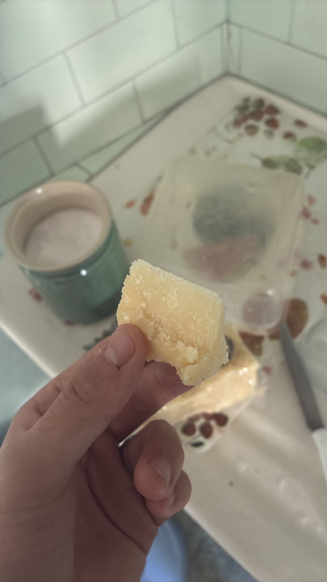 Parmigiano 15 mesi