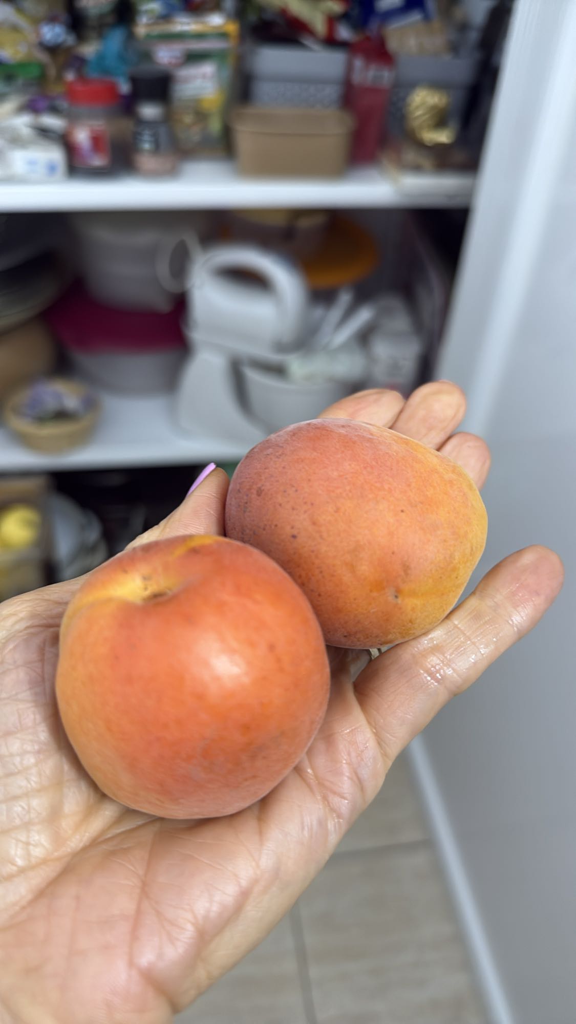 Două nectarine