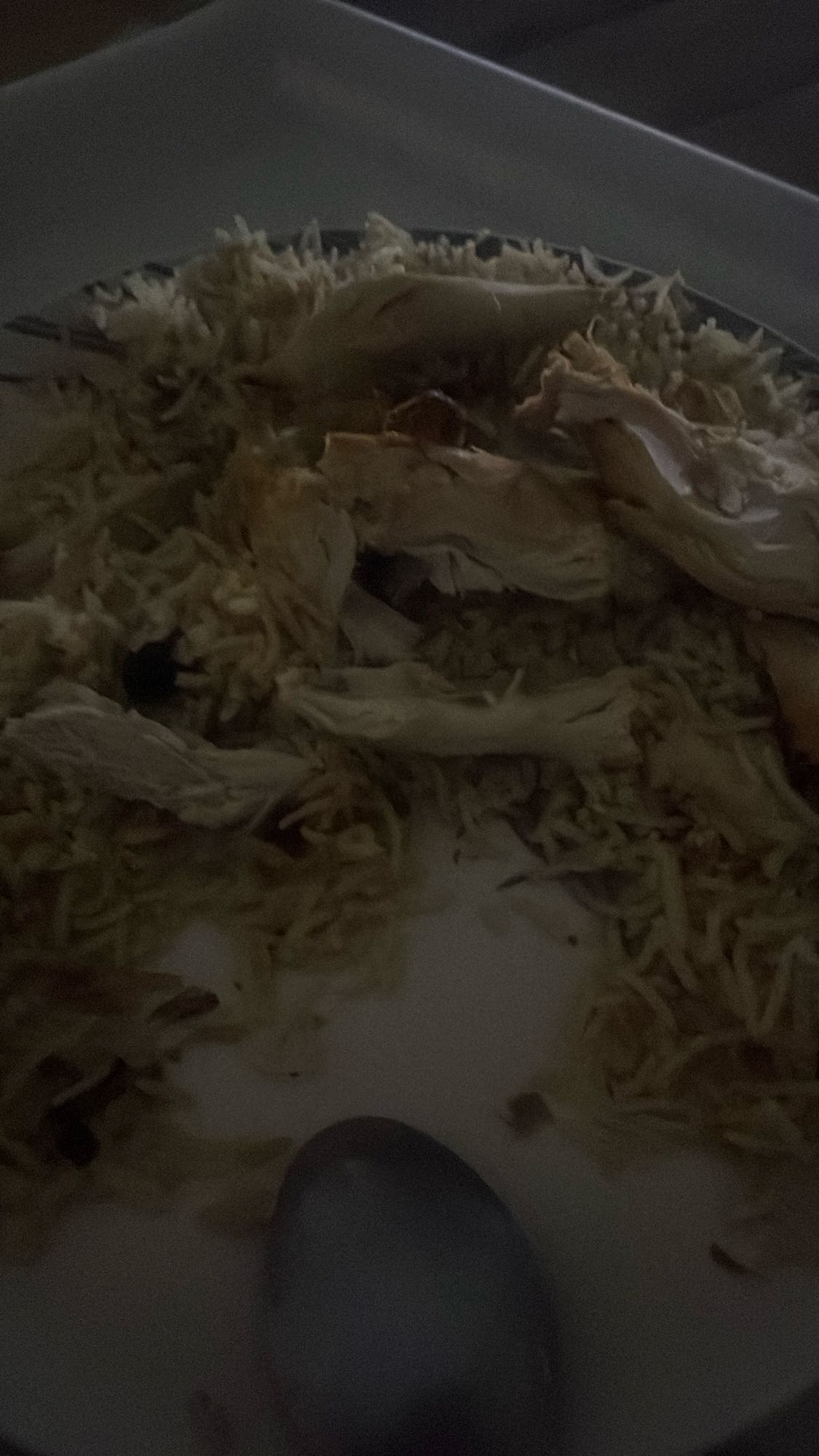 Chicken Rice Plate