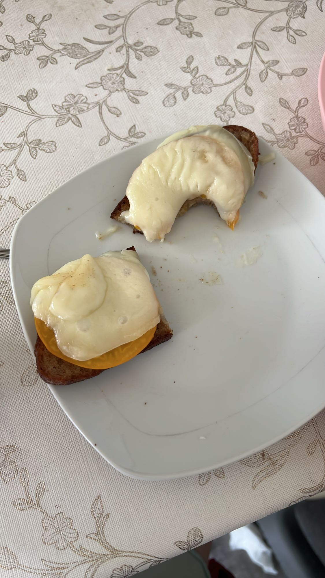 Тосты с сыром и томатом