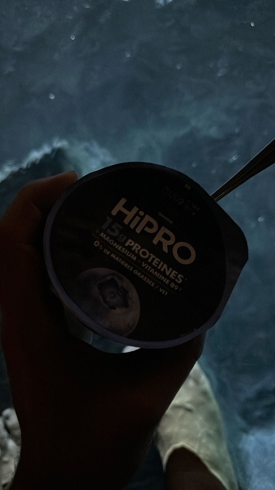 Dessert protéiné