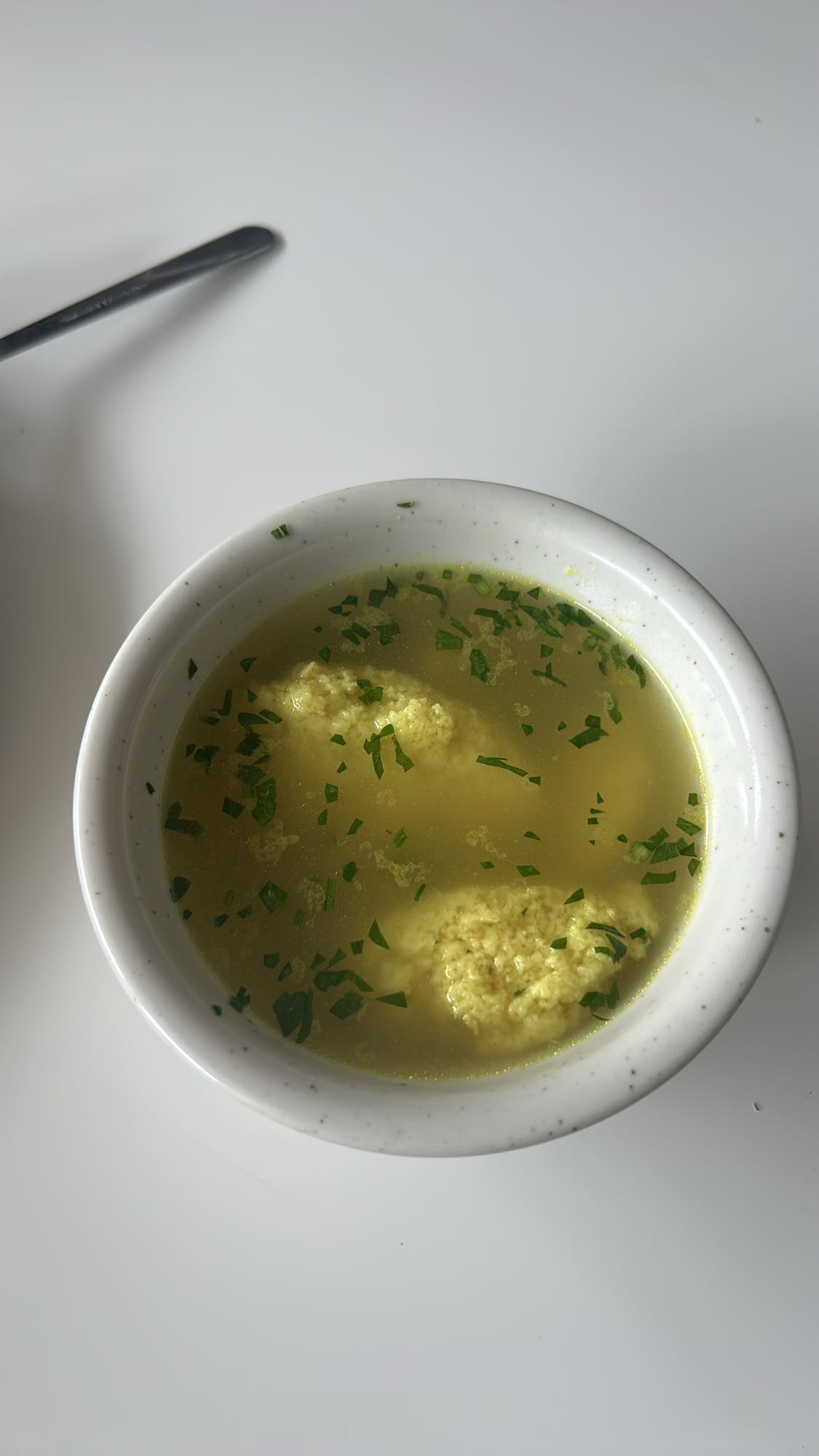 Chicken Dumpling Soup
