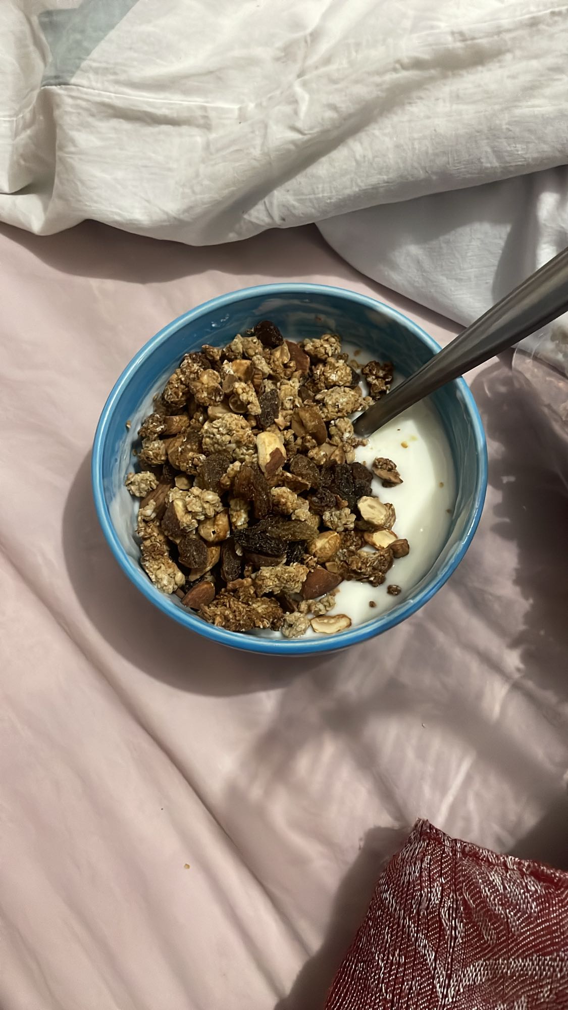 Yaourt granola raisins