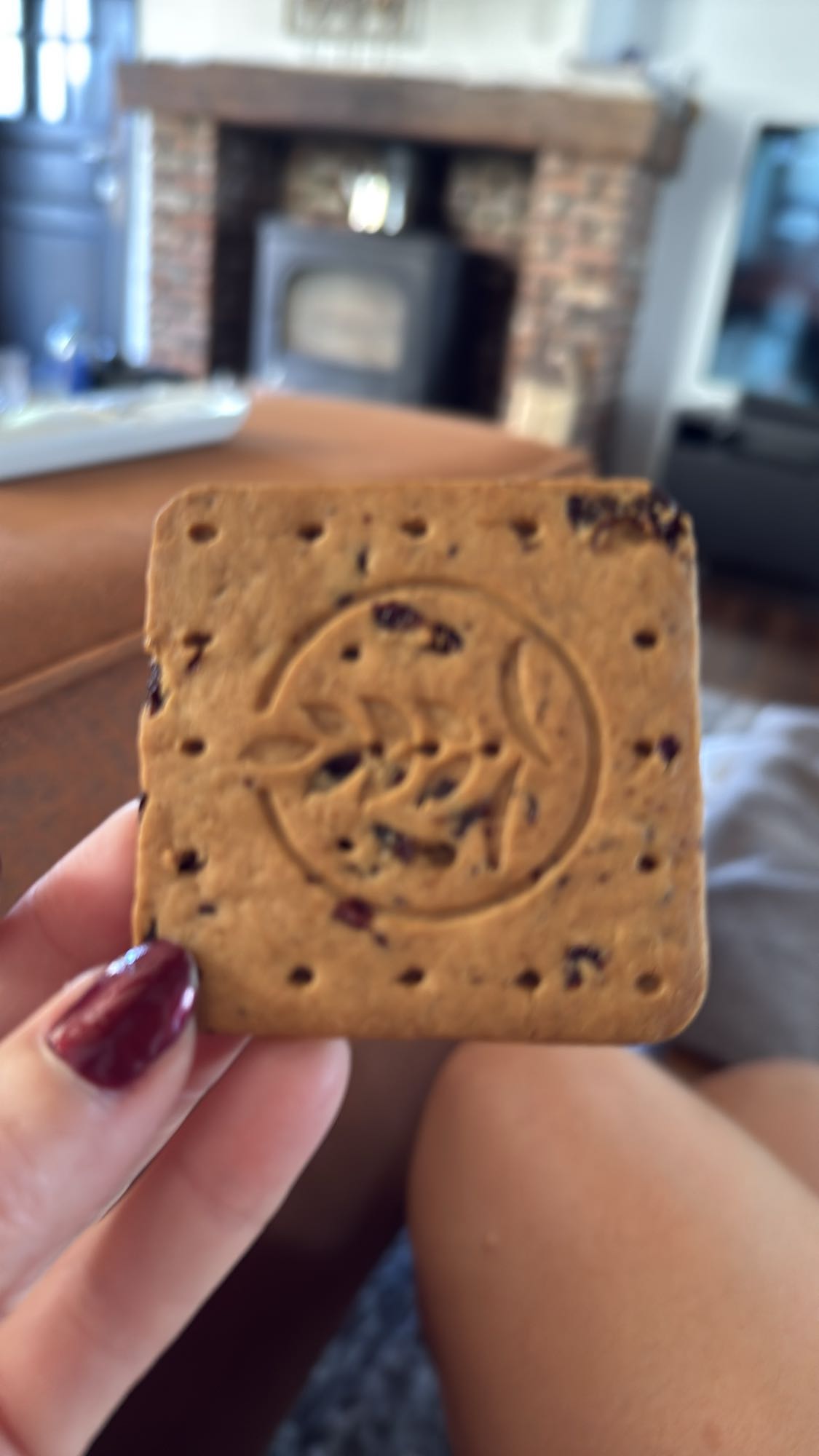 Rozijnenkoekje