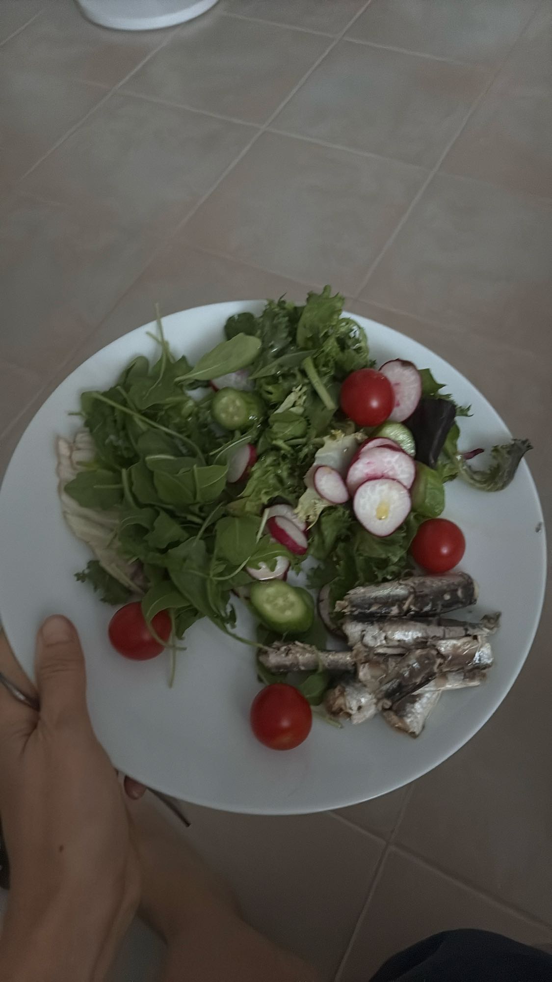Sardine Green Salad