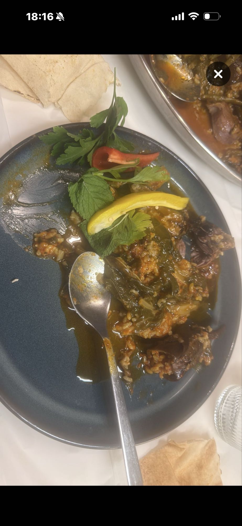 Fyllda vinblad med kött