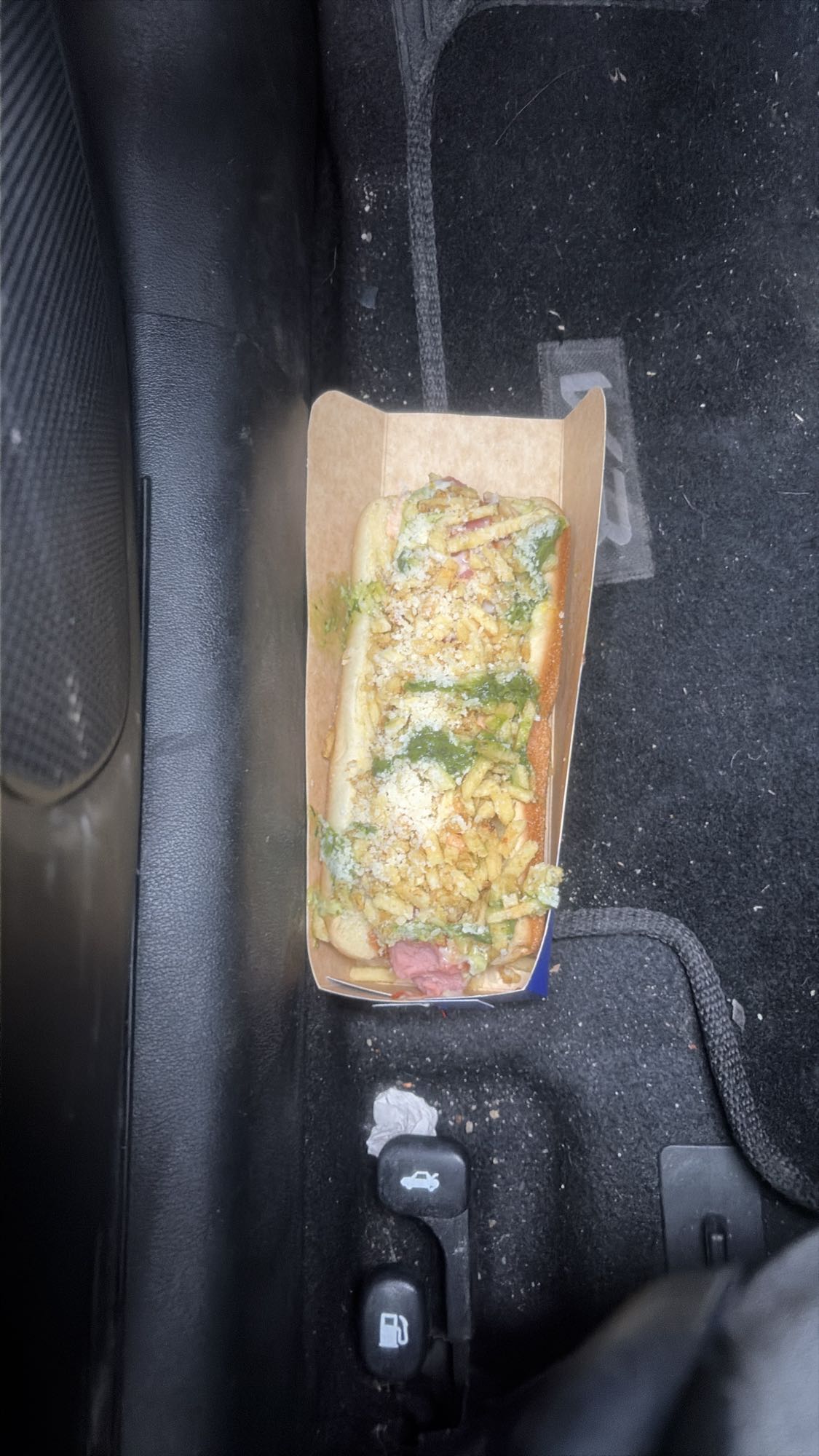 hot dog cargado