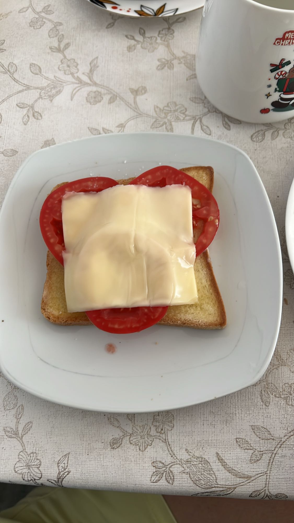 Тост с сыром и томатом