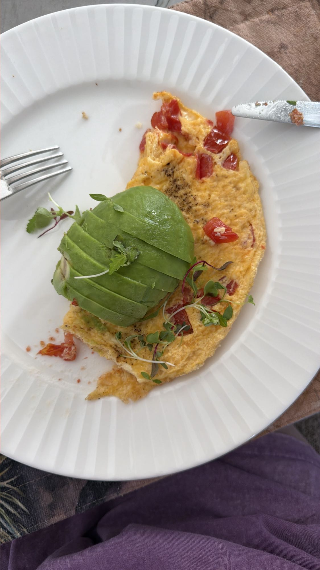Avocado Omelette with Cheese