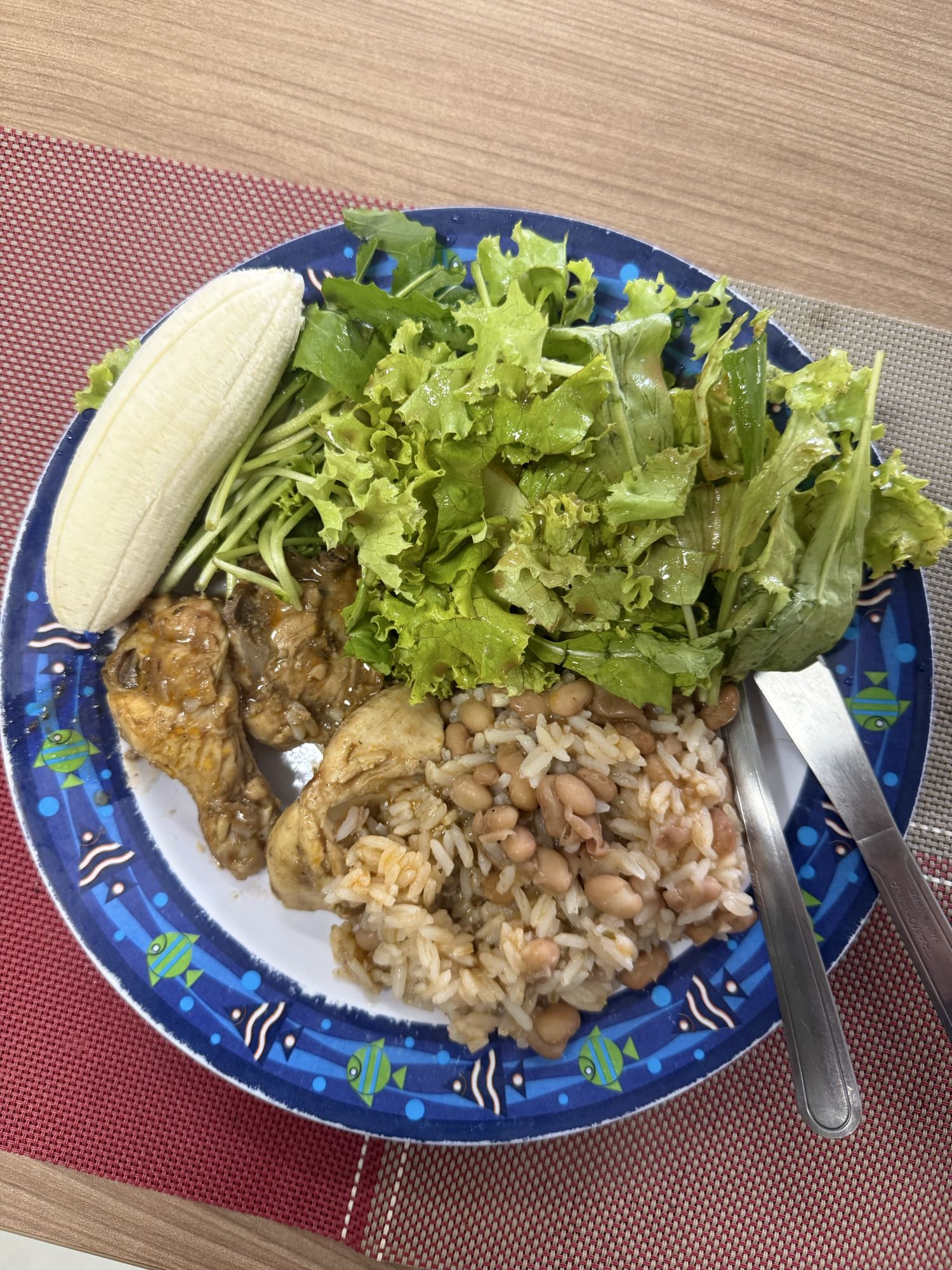 Prato com frango e salada