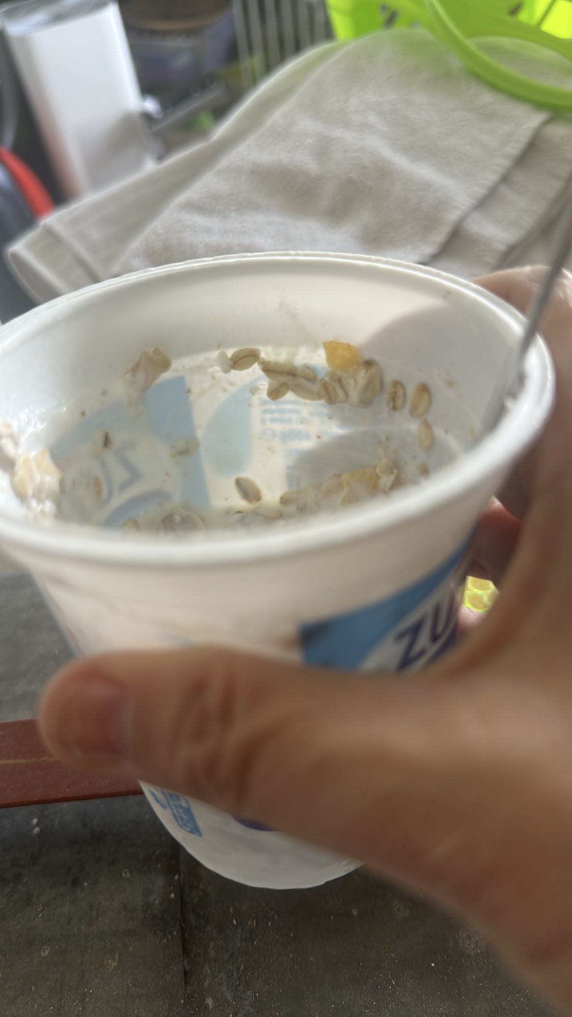 Yogurt with Oats