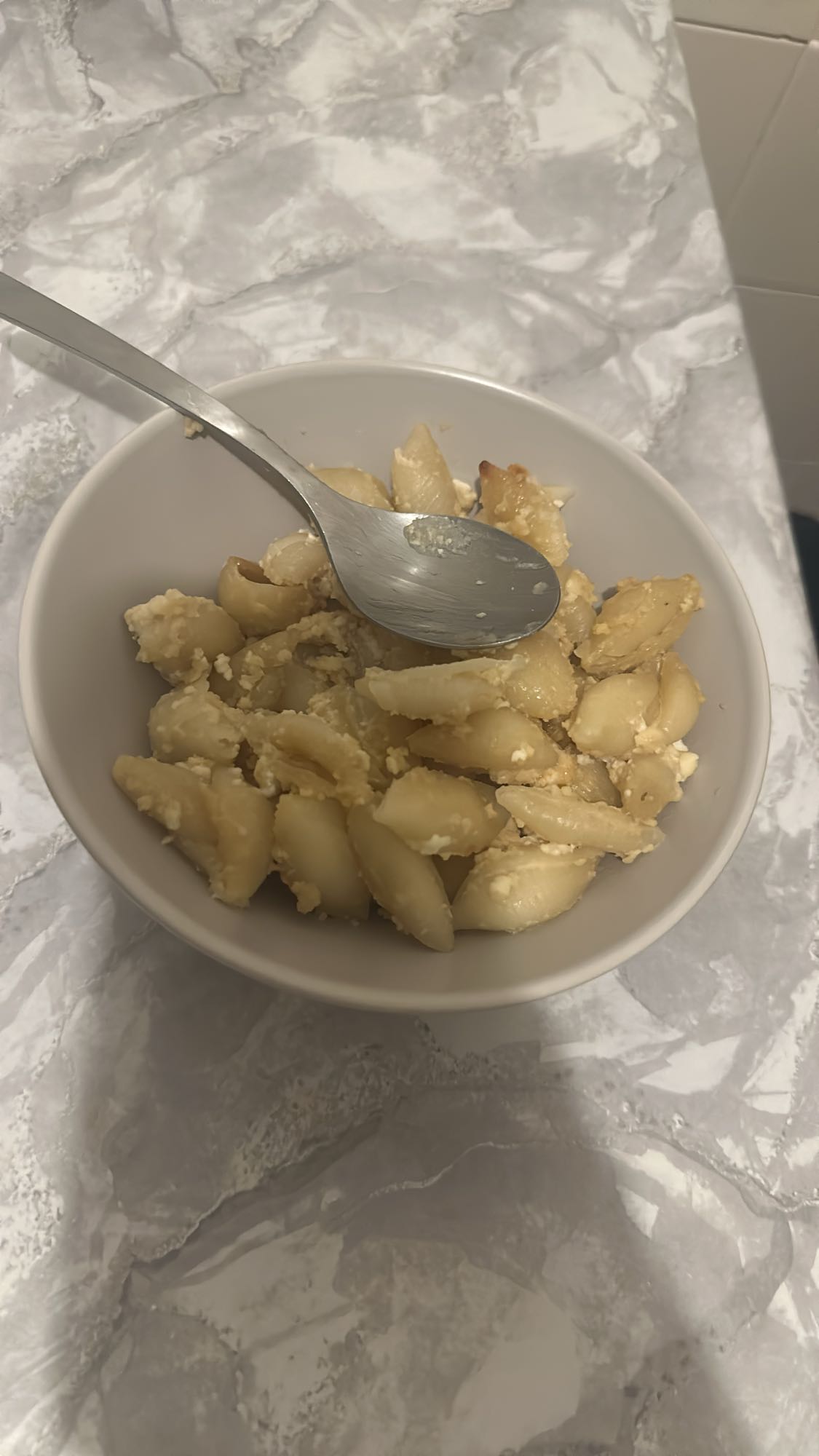 Cheesy Shell Pasta