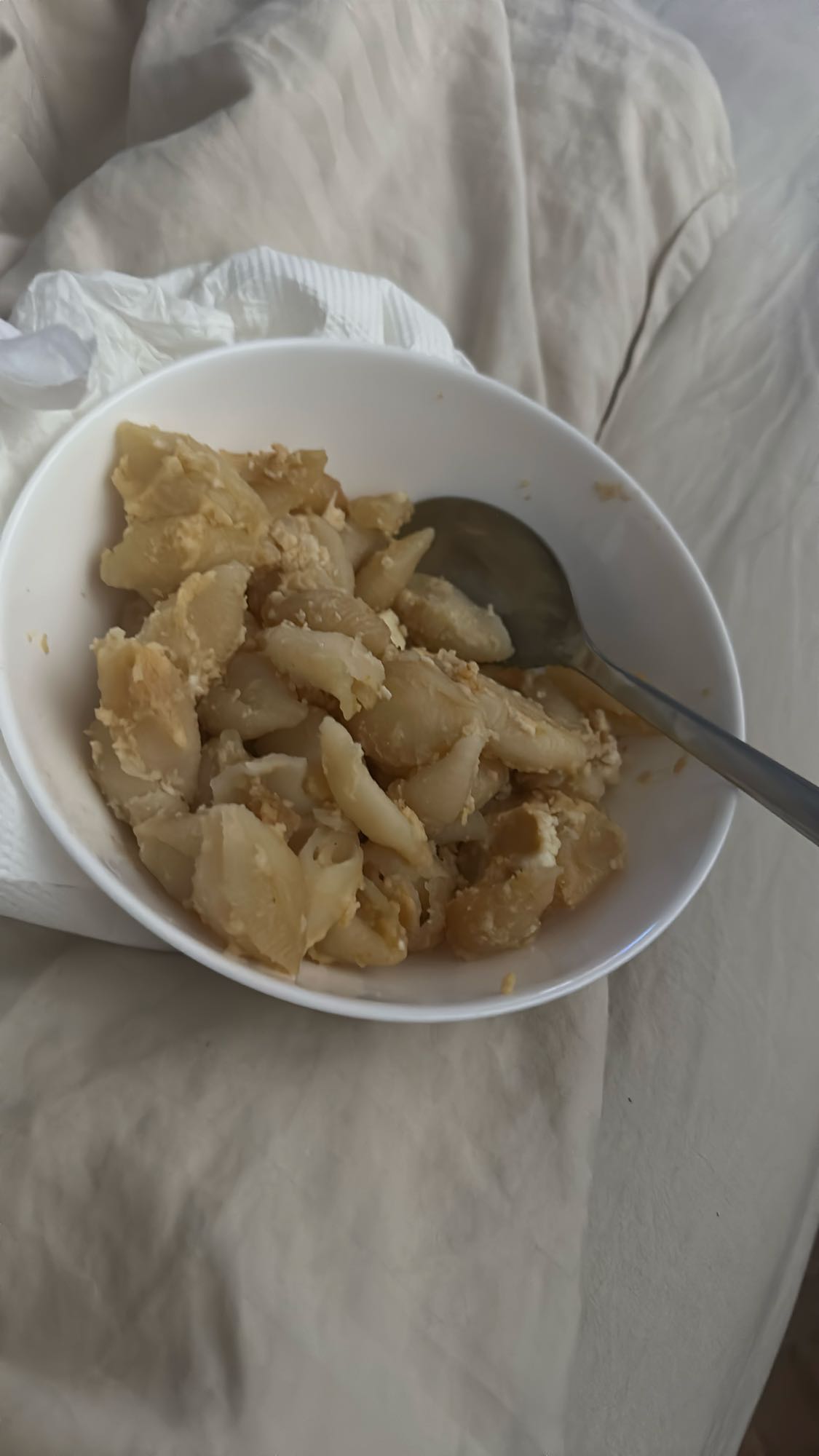 Shell Pasta with Egg