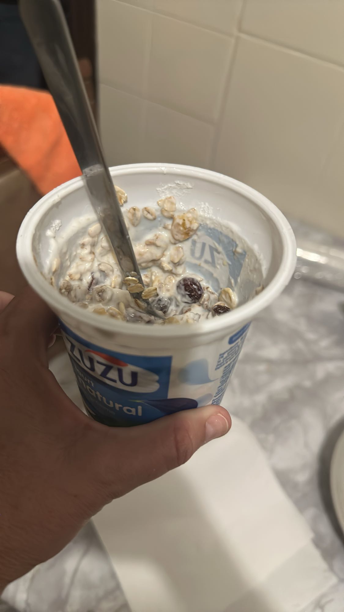Yogurt Oats Raisins