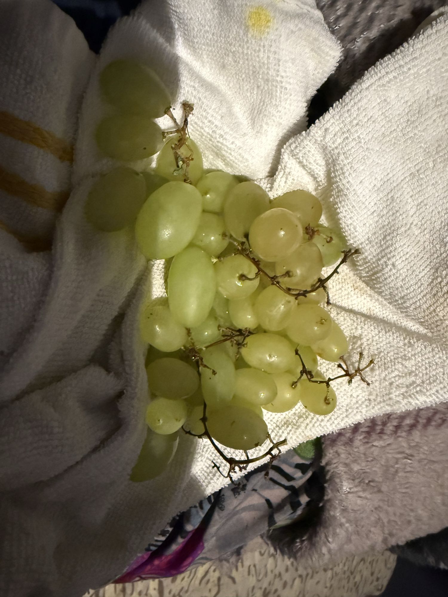 uvas verdes