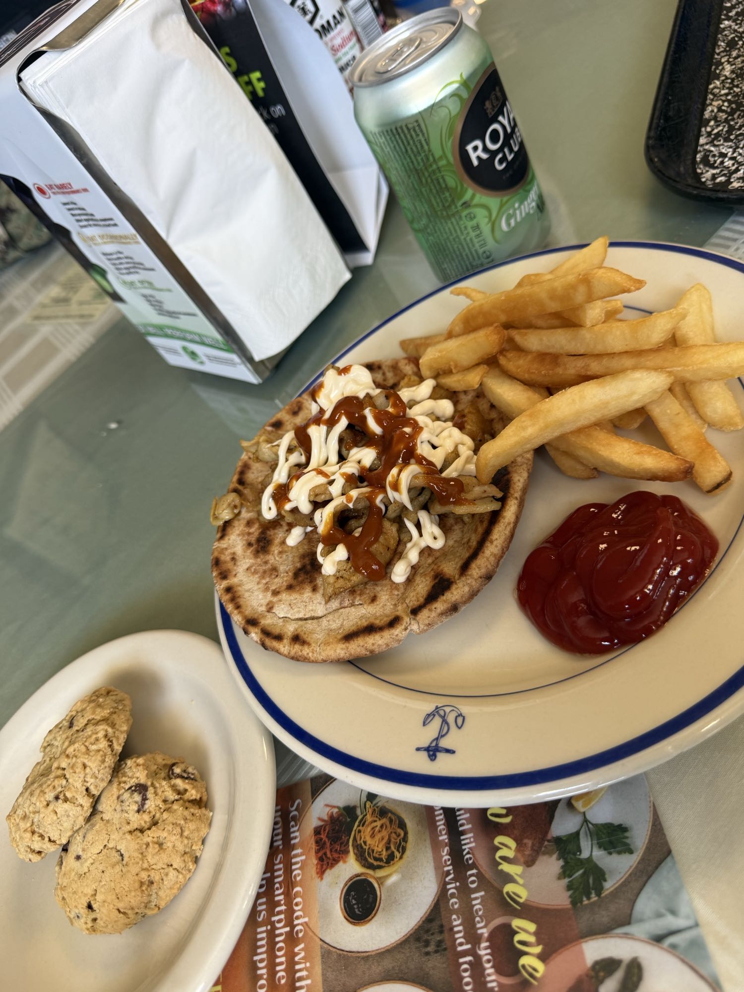 Chicken Pita and Fries